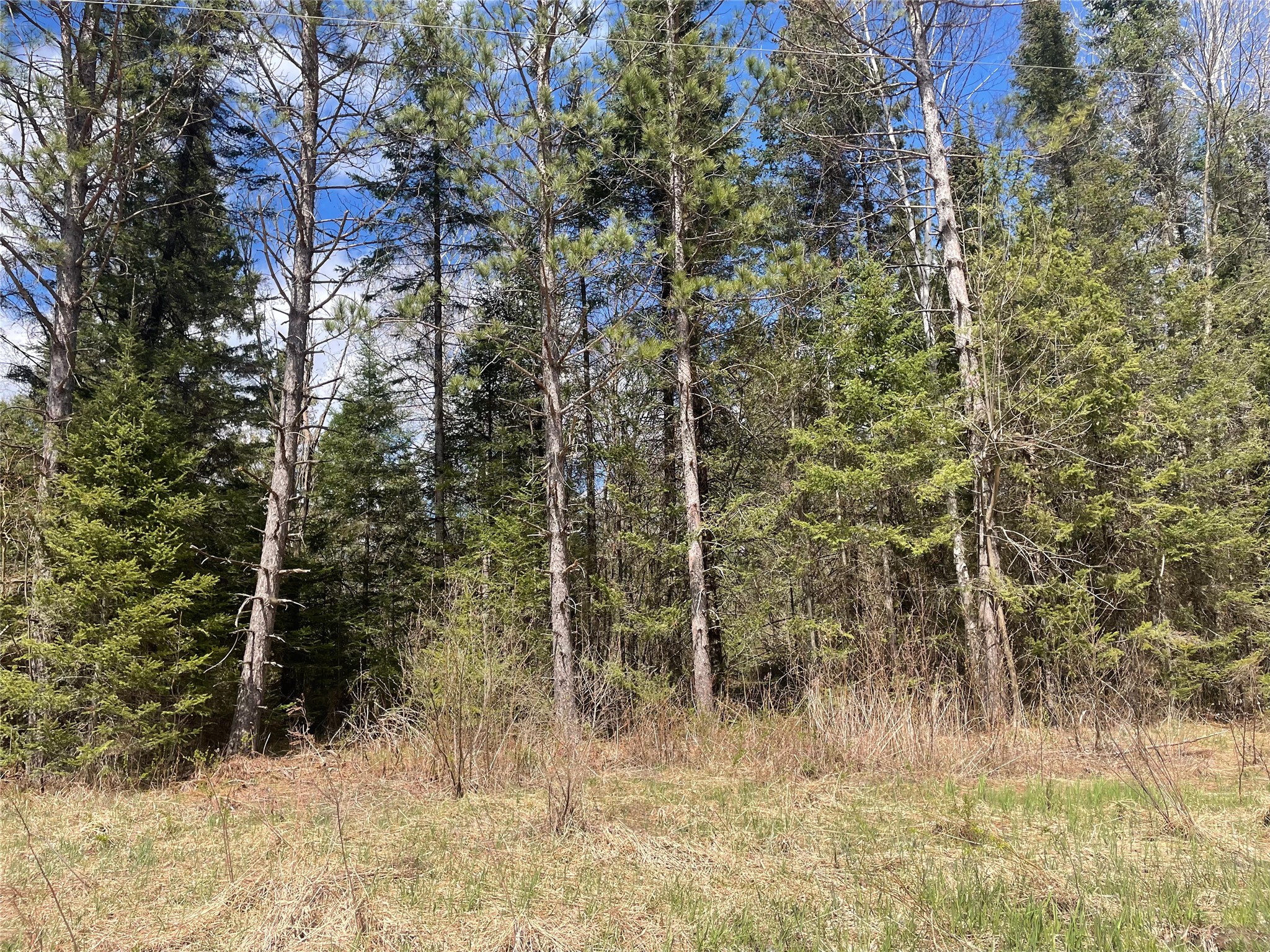 81620 Pociask Road Butternut WI 54514 1601089 image2