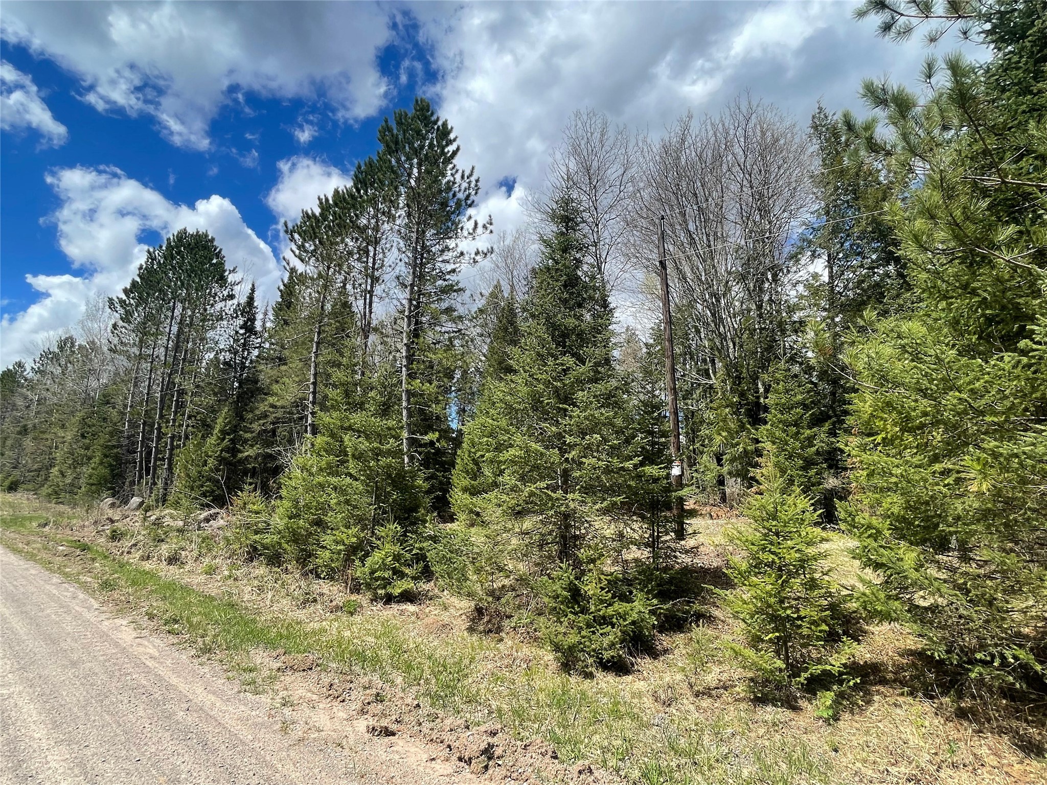 81620 Pociask Road Butternut WI 54514 1601089 image3