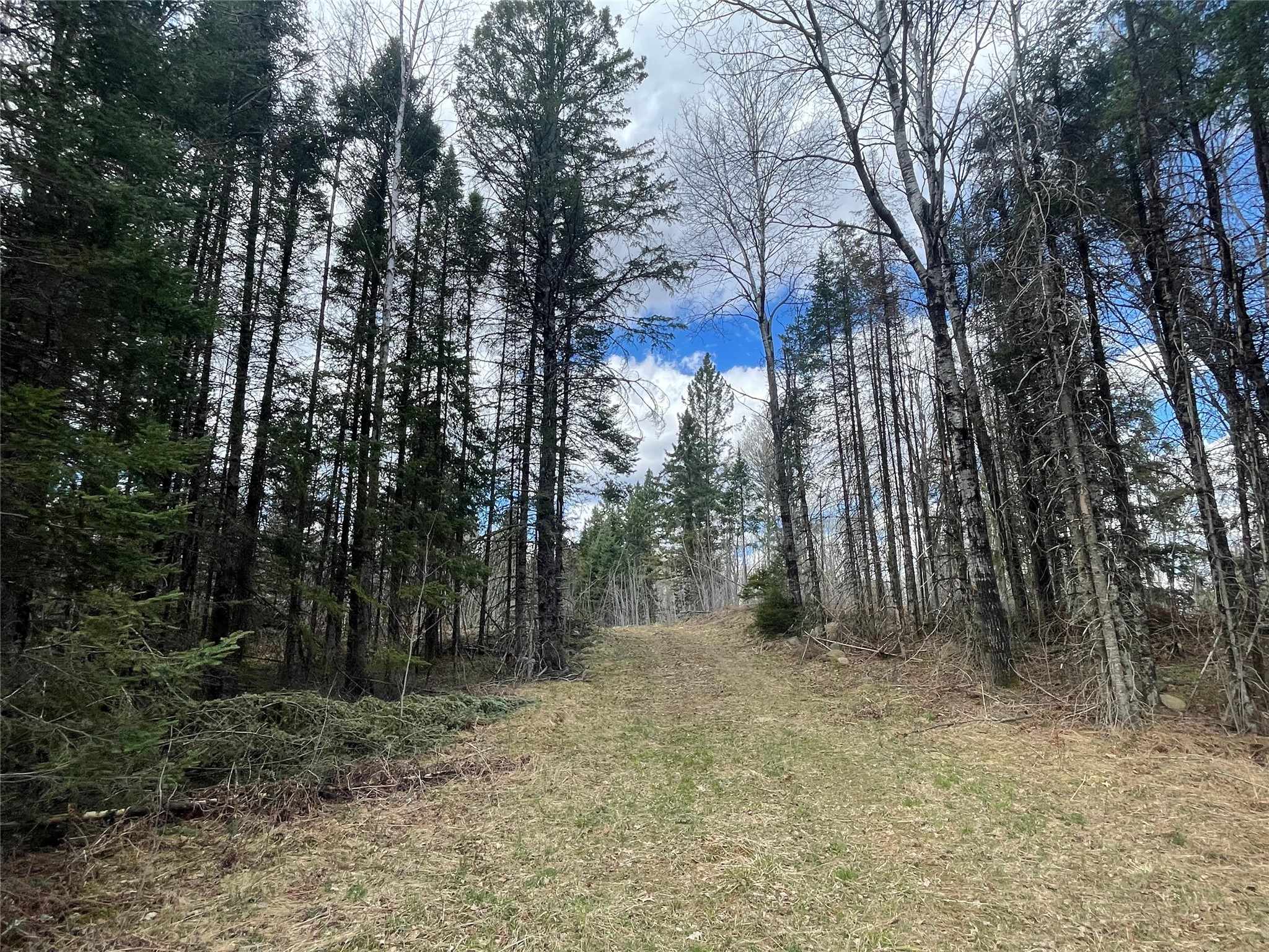 81620 Pociask Road Butternut WI 54514 1601089 image4