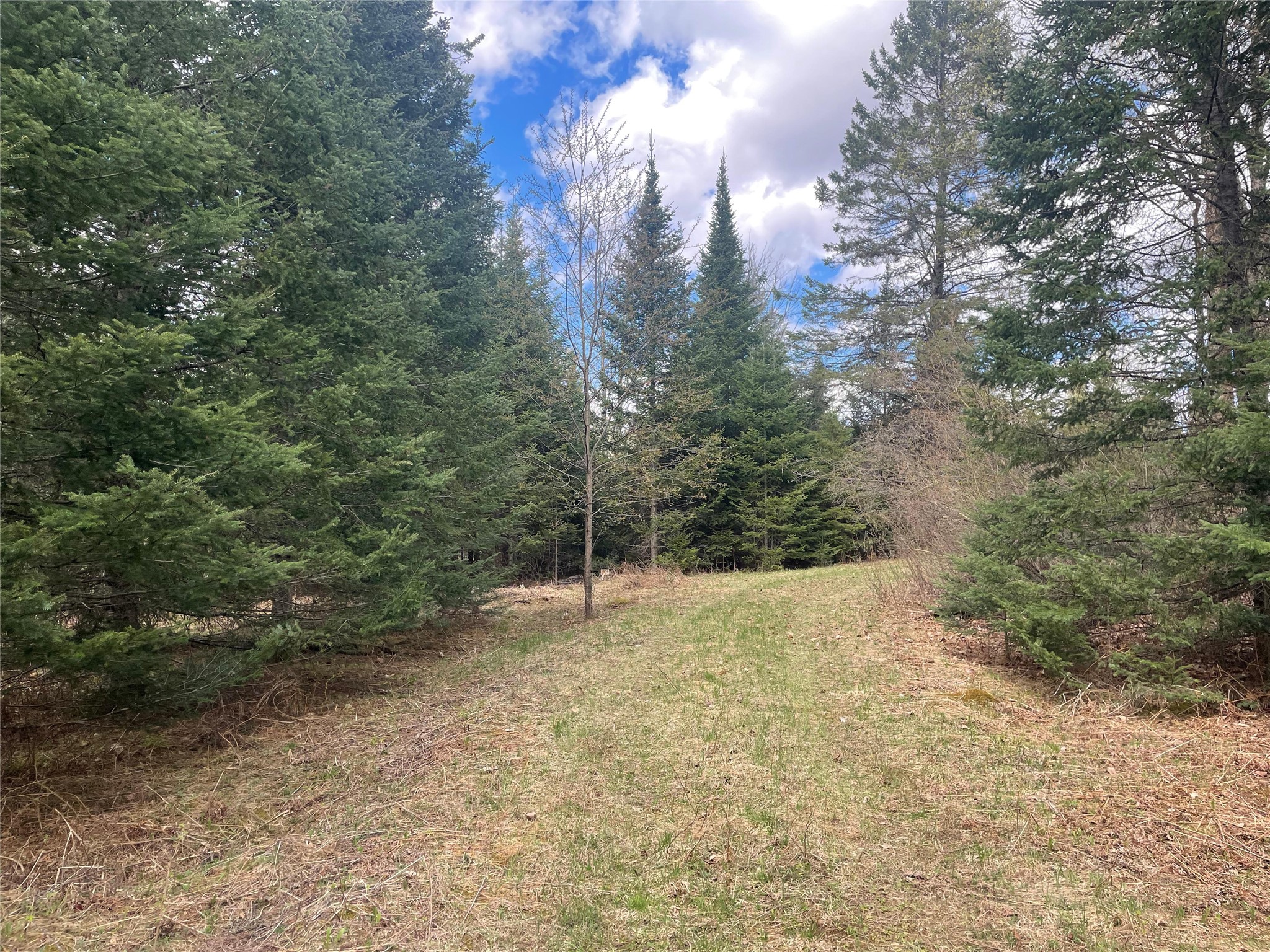 81620 Pociask Road Butternut WI 54514 1601089 image6