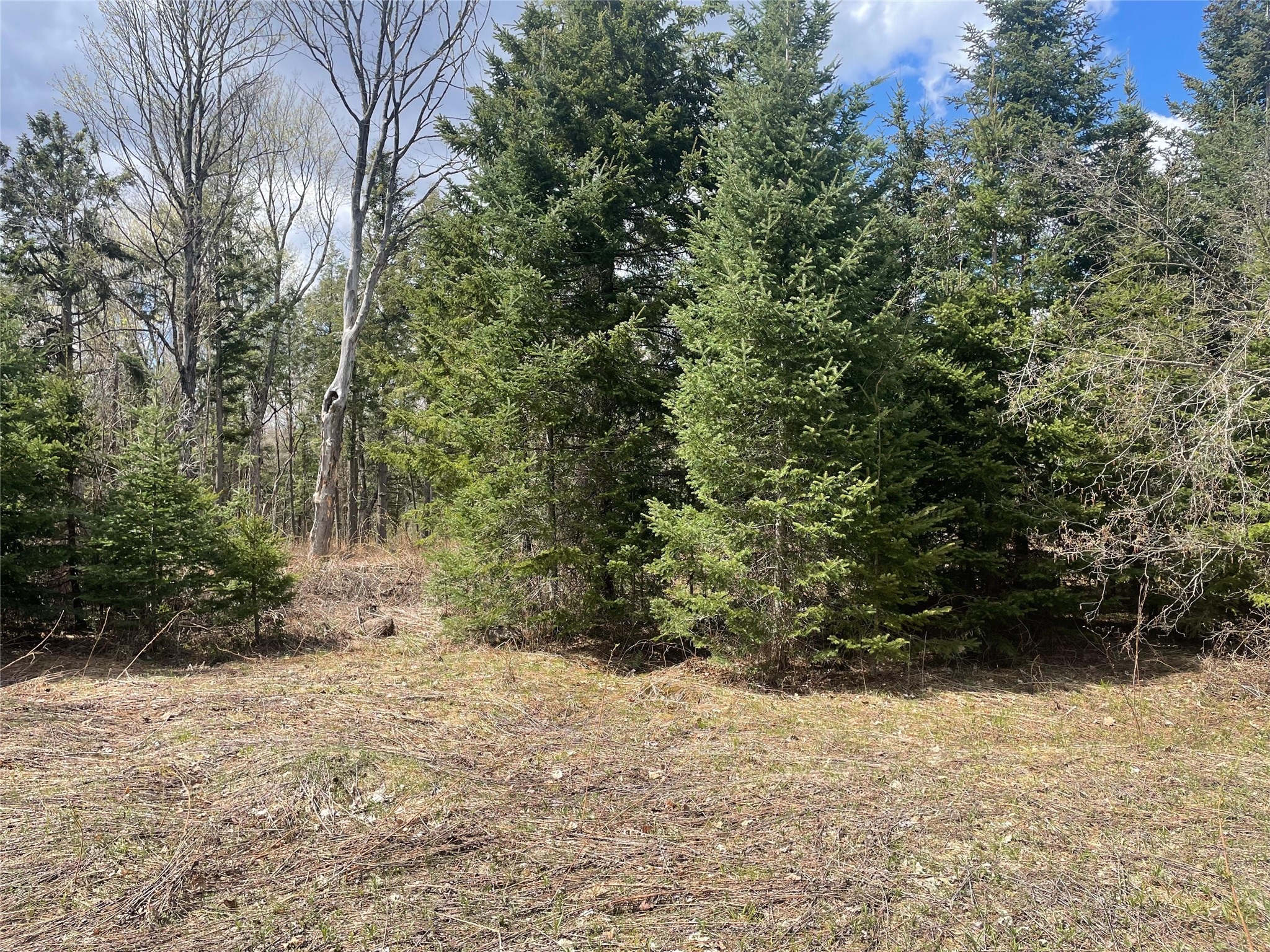 81620 Pociask Road Butternut WI 54514 1601089 image8