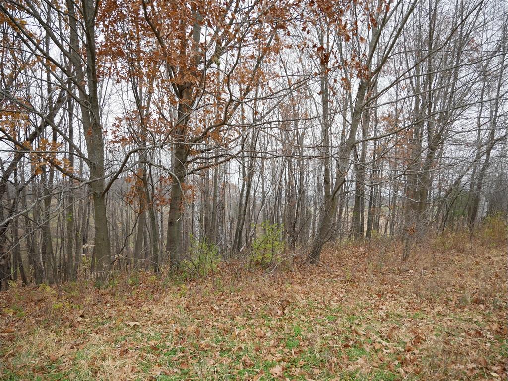 82 12th Street Ridgeland WI 54763 1597037 image12