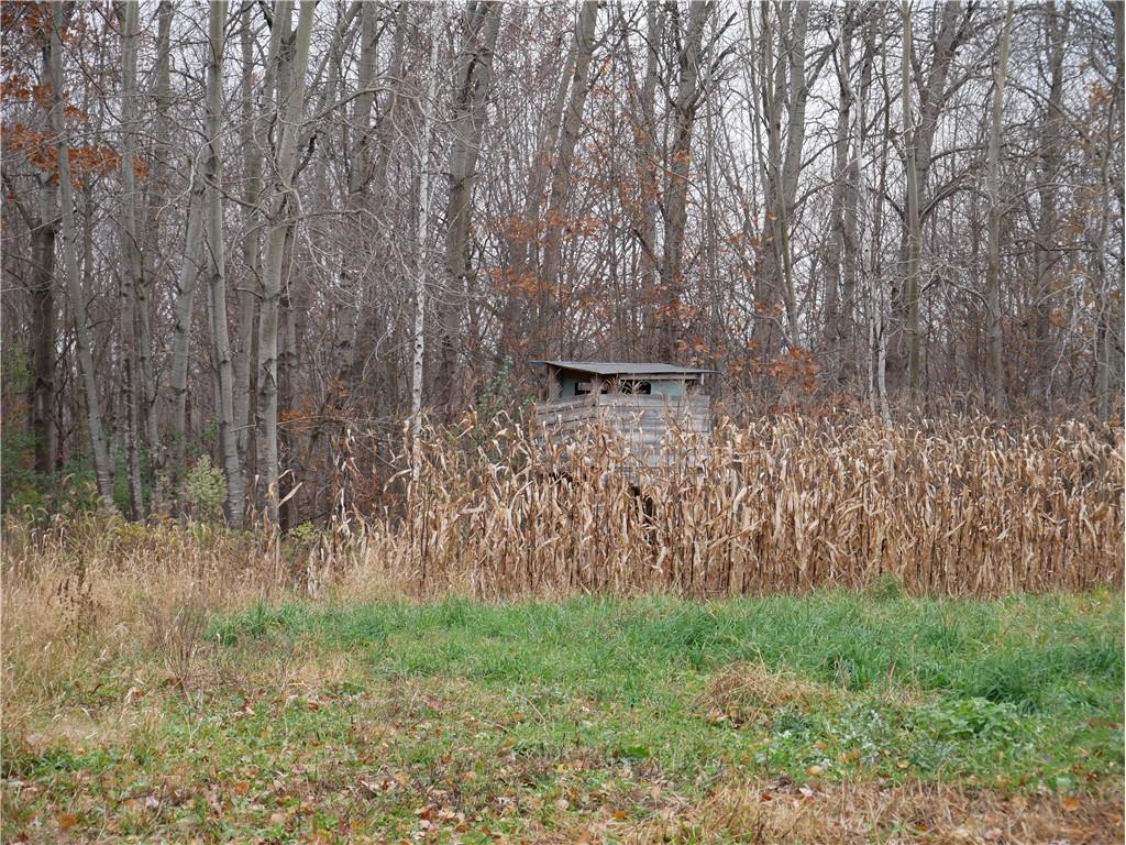 82 12th Street Ridgeland WI 54763 1597037 image14