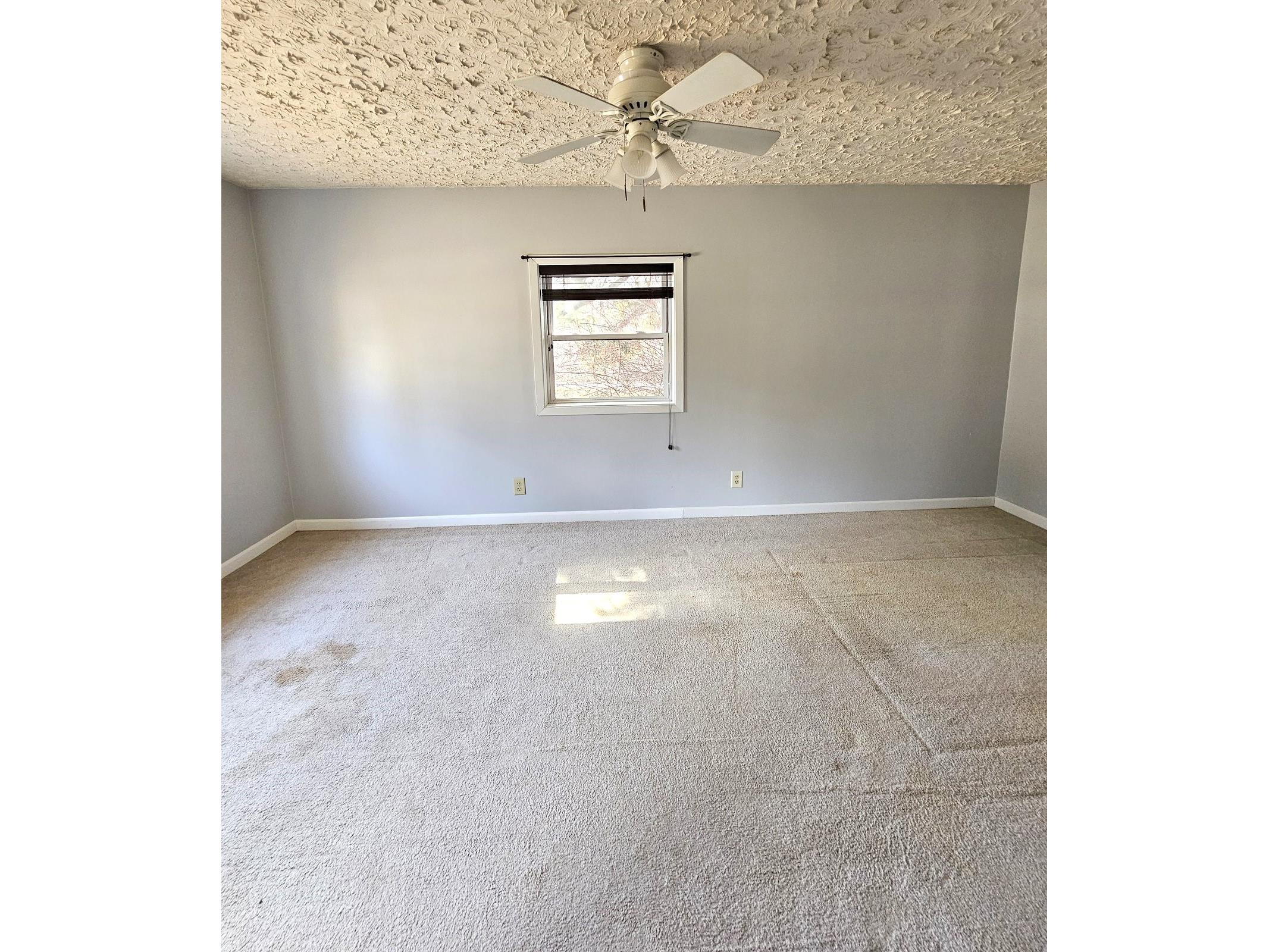 820 14th Avenue Almena WI 54805 1599835 image12