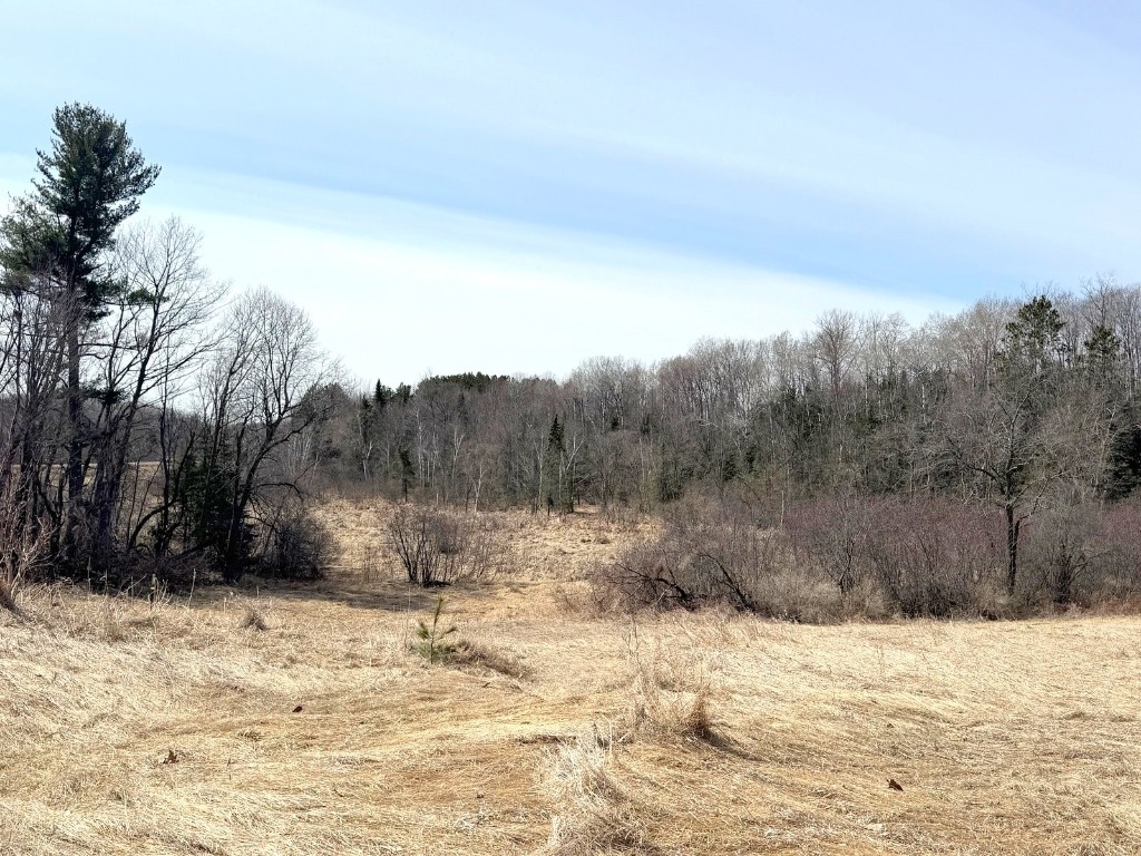 820 14th Avenue Almena WI 54805 1599835 image42