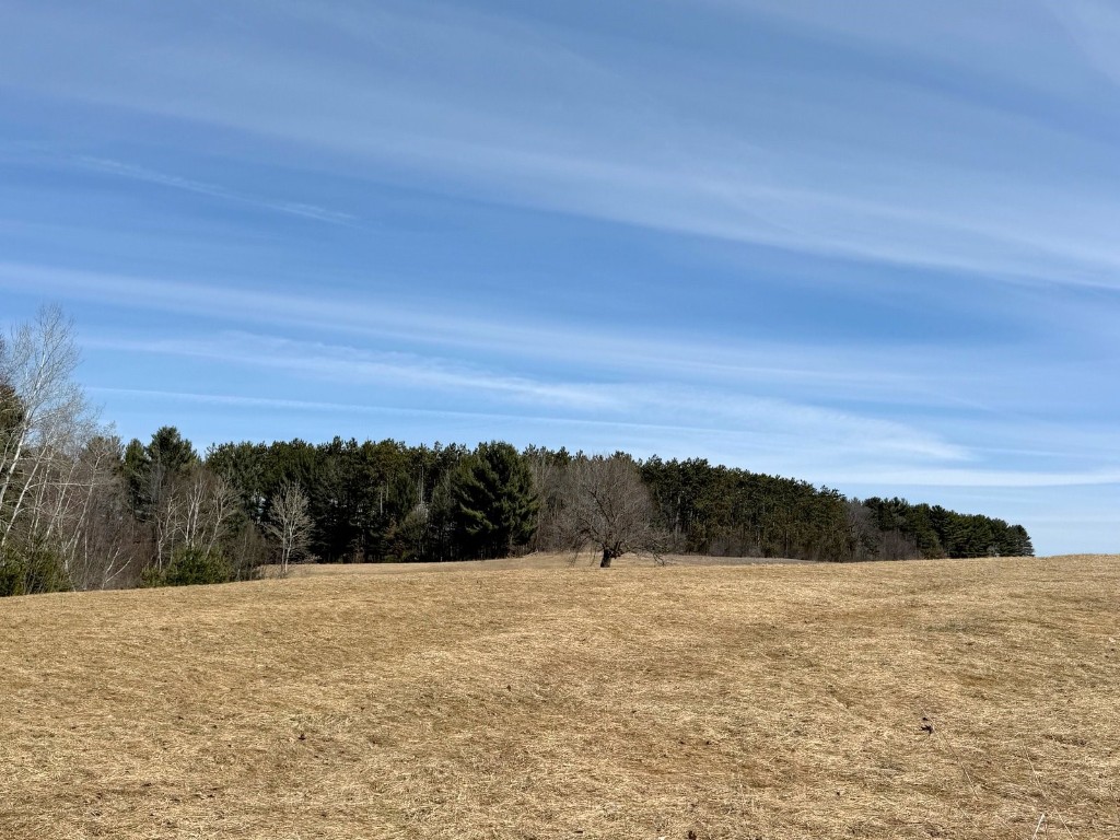 820 14th Avenue Almena WI 54805 1599835 image45