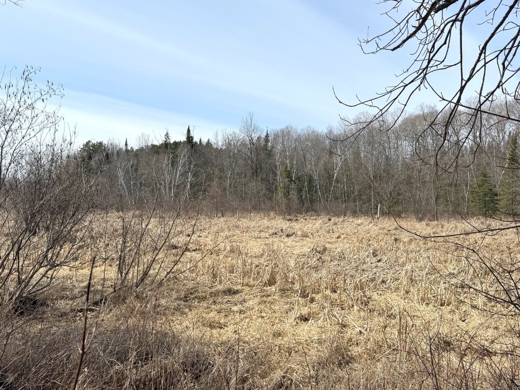 820 14th Avenue Almena WI 54805 1599835 image46