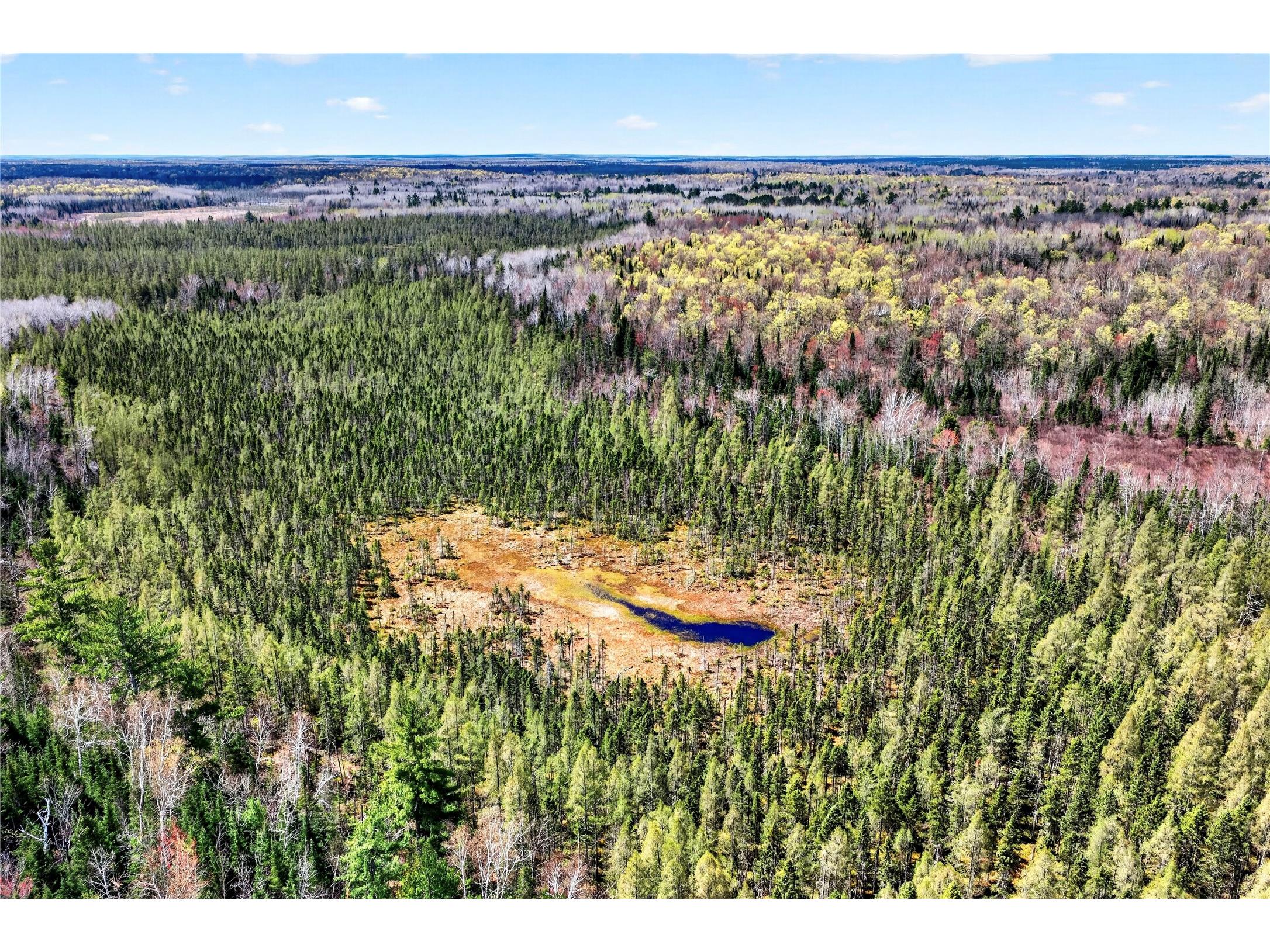 8225 N Blaisdell Lake Road Winter WI 54896 1600828 image11