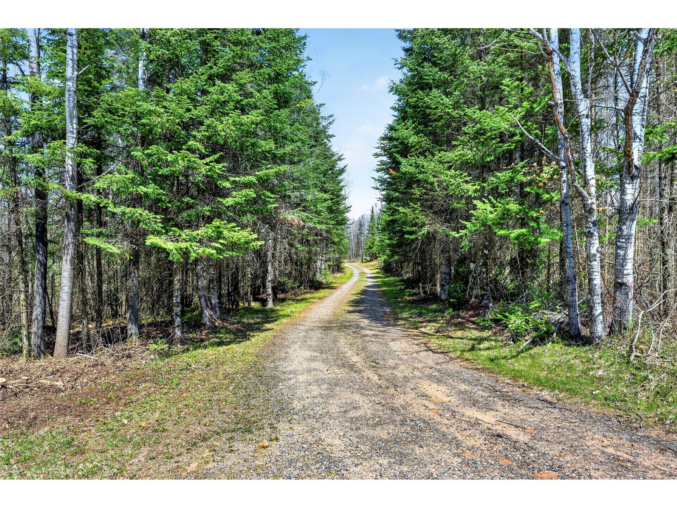 8225 N Blaisdell Lake Road Winter WI 54896 1600828 image13