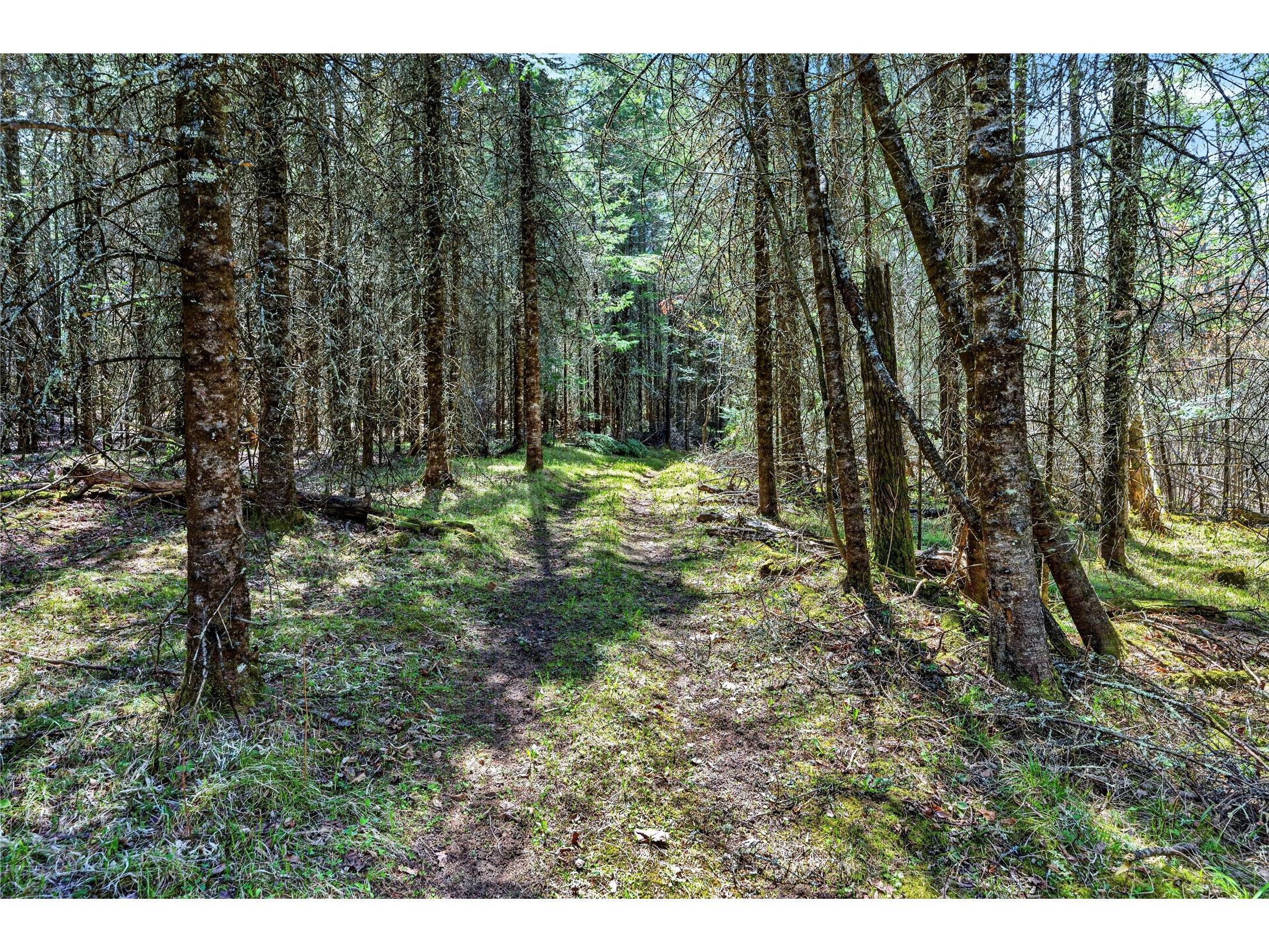8225 N Blaisdell Lake Road Winter WI 54896 1600828 image14