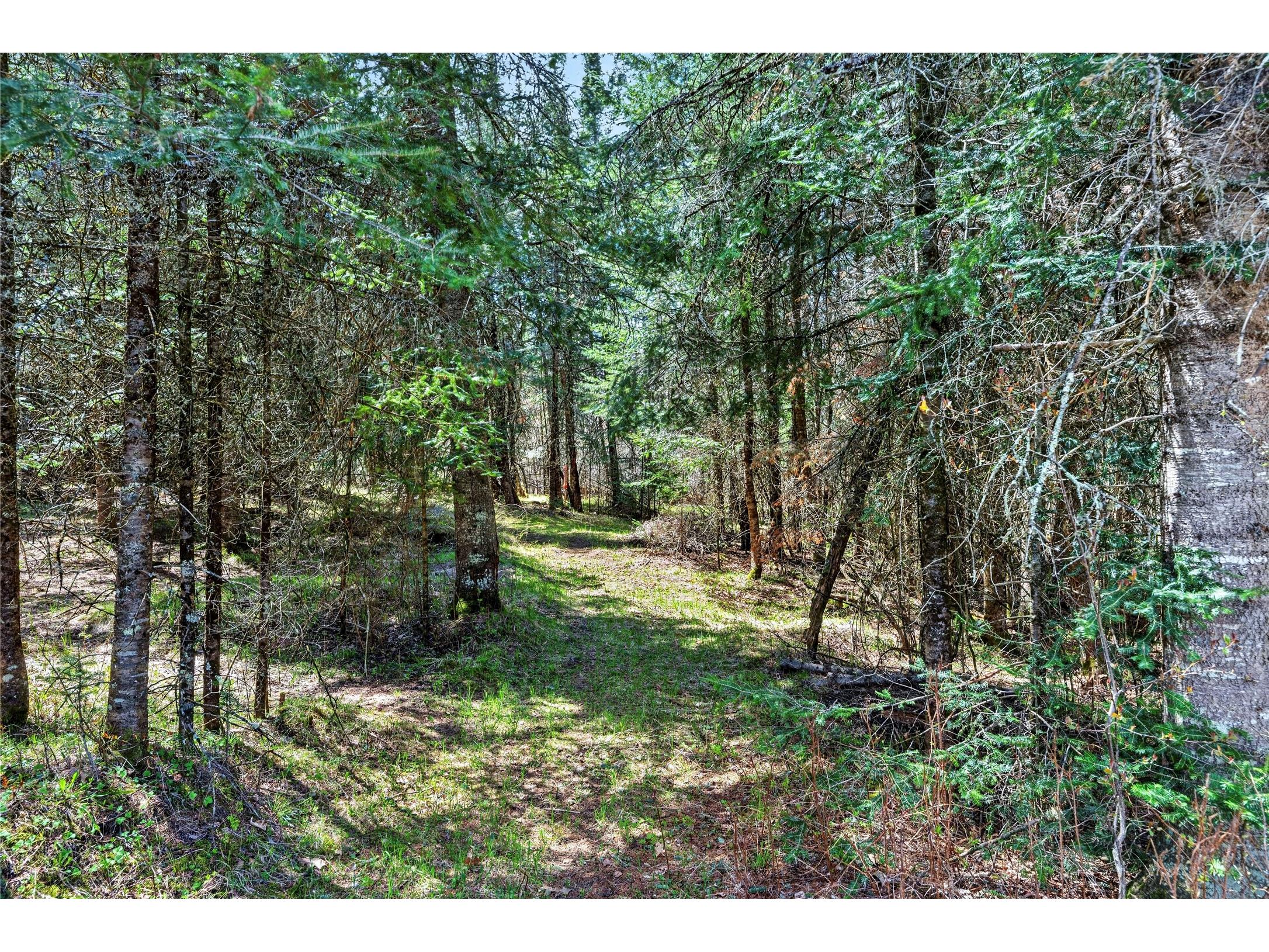 8225 N Blaisdell Lake Road Winter WI 54896 1600828 image15