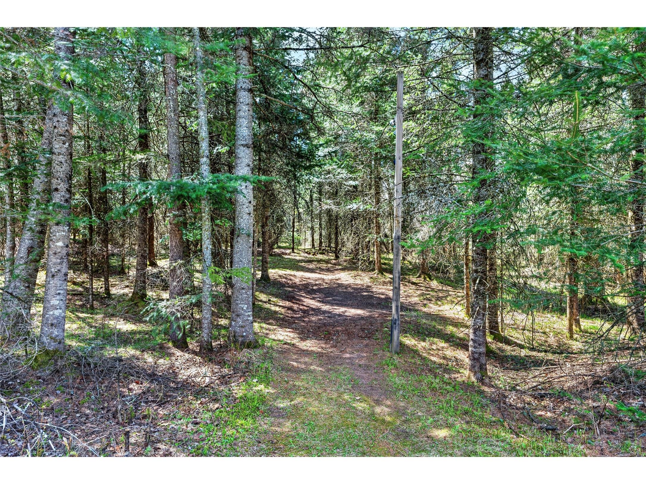 8225 N Blaisdell Lake Road Winter WI 54896 1600828 image16