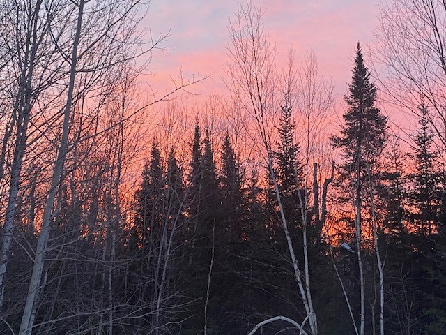 8225 N Blaisdell Lake Road Winter WI 54896 1600828 image19