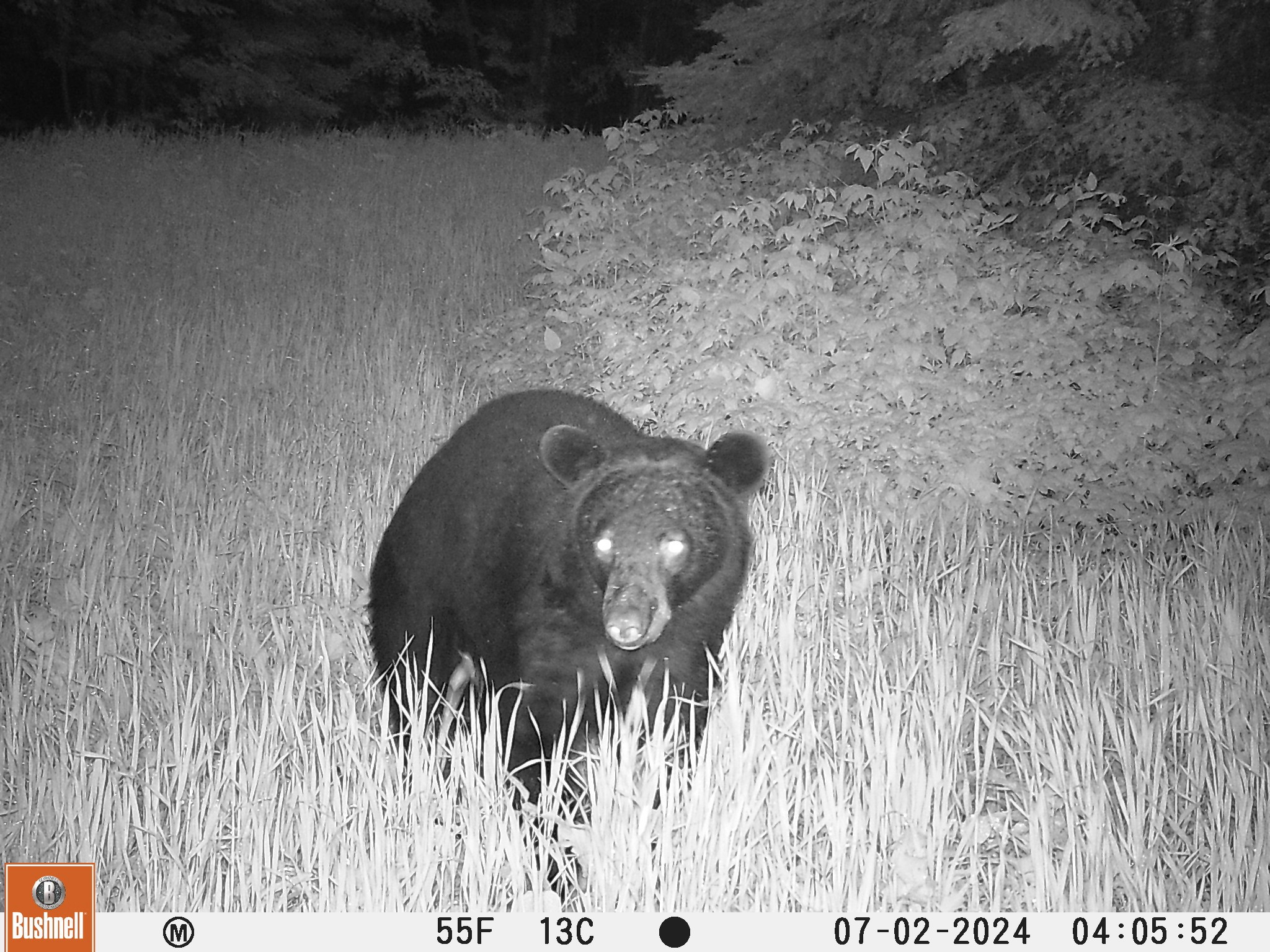 8225 N Blaisdell Lake Road Winter WI 54896 1600828 image23