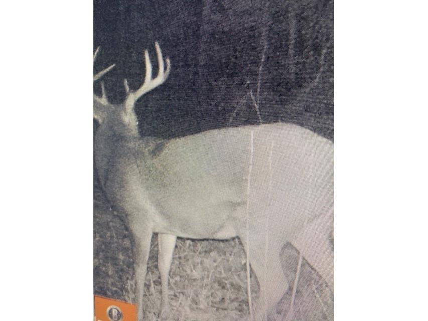 8225 N Blaisdell Lake Road Winter WI 54896 1600828 image25