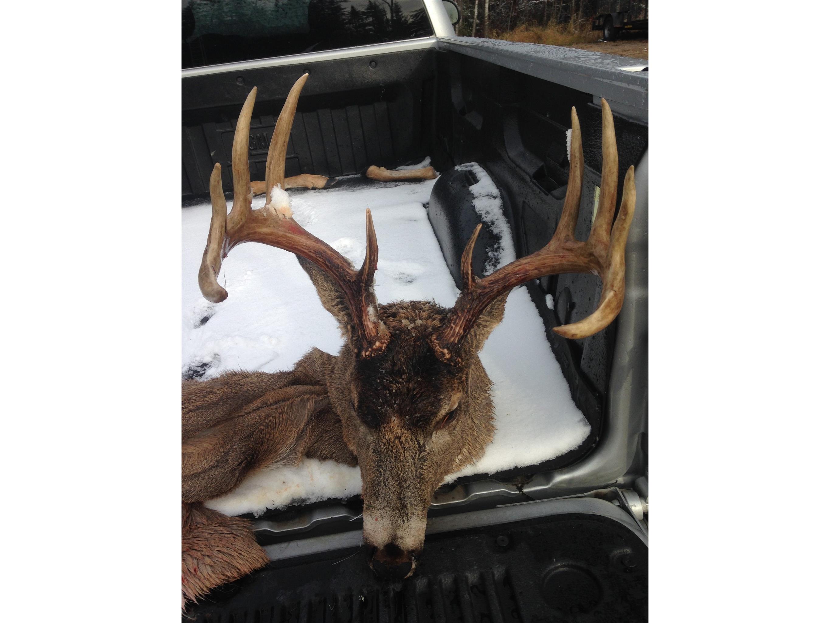 8225 N Blaisdell Lake Road Winter WI 54896 1600828 image27