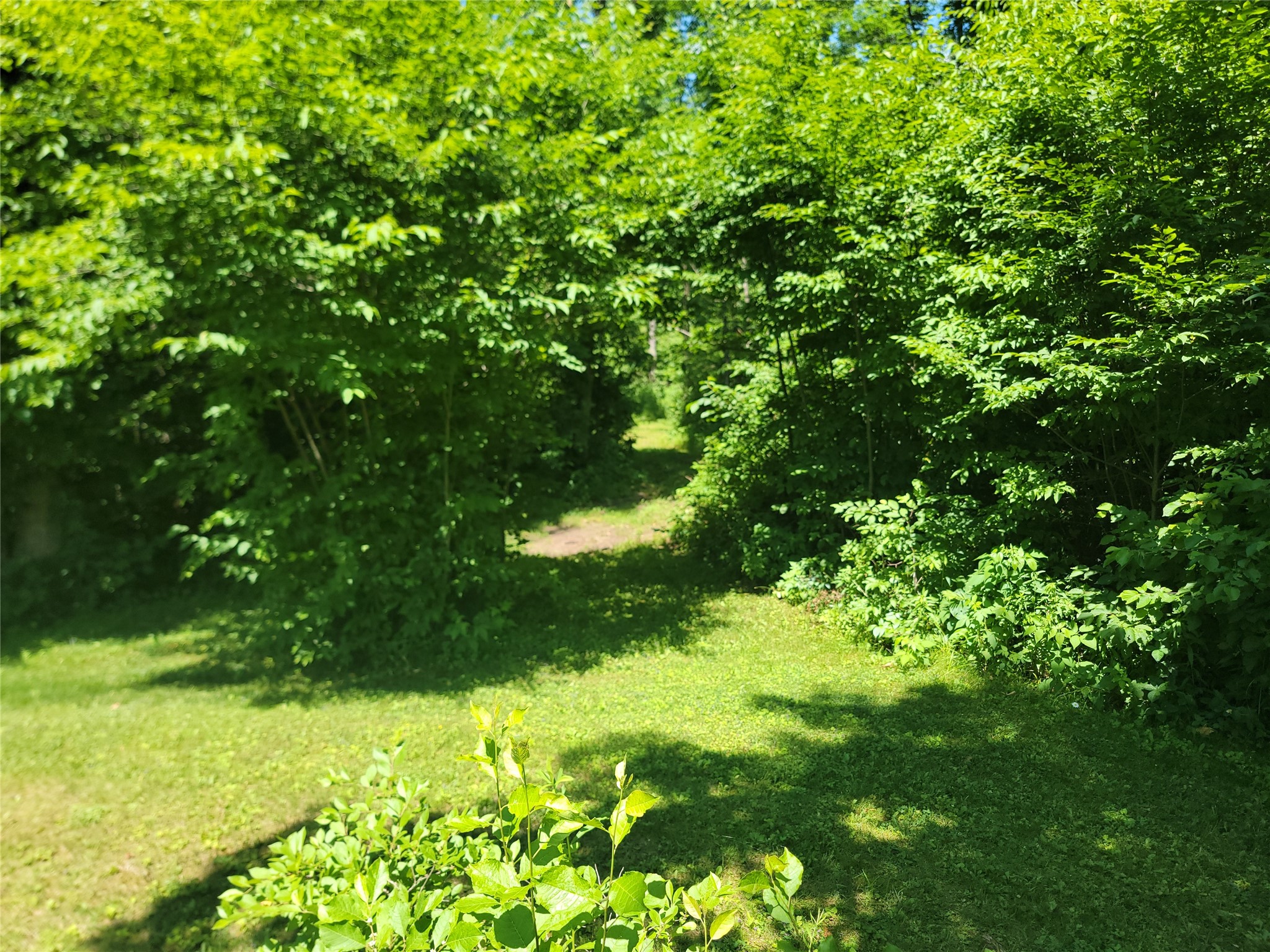 8244W Koeppler Road Ojibwa WI 54862 1603033 image45