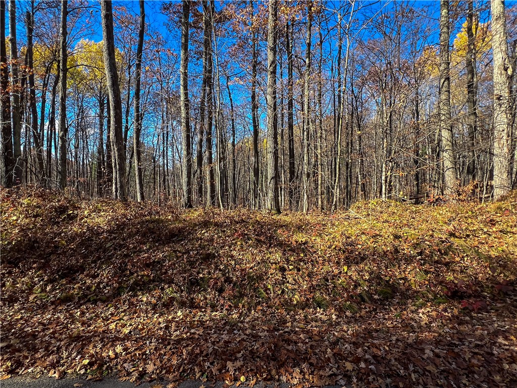 8264 N Ochu Road Hayward WI 54843 - Windigo 1596582 image52