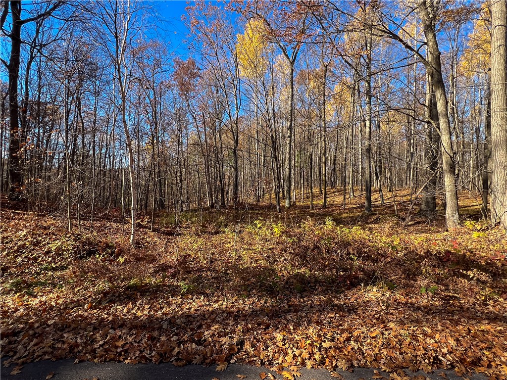 8264 N Ochu Road Hayward WI 54843 - Windigo 1596582 image53