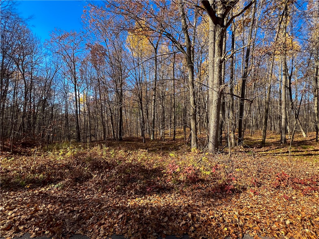 8264 N Ochu Road Hayward WI 54843 - Windigo 1596582 image54