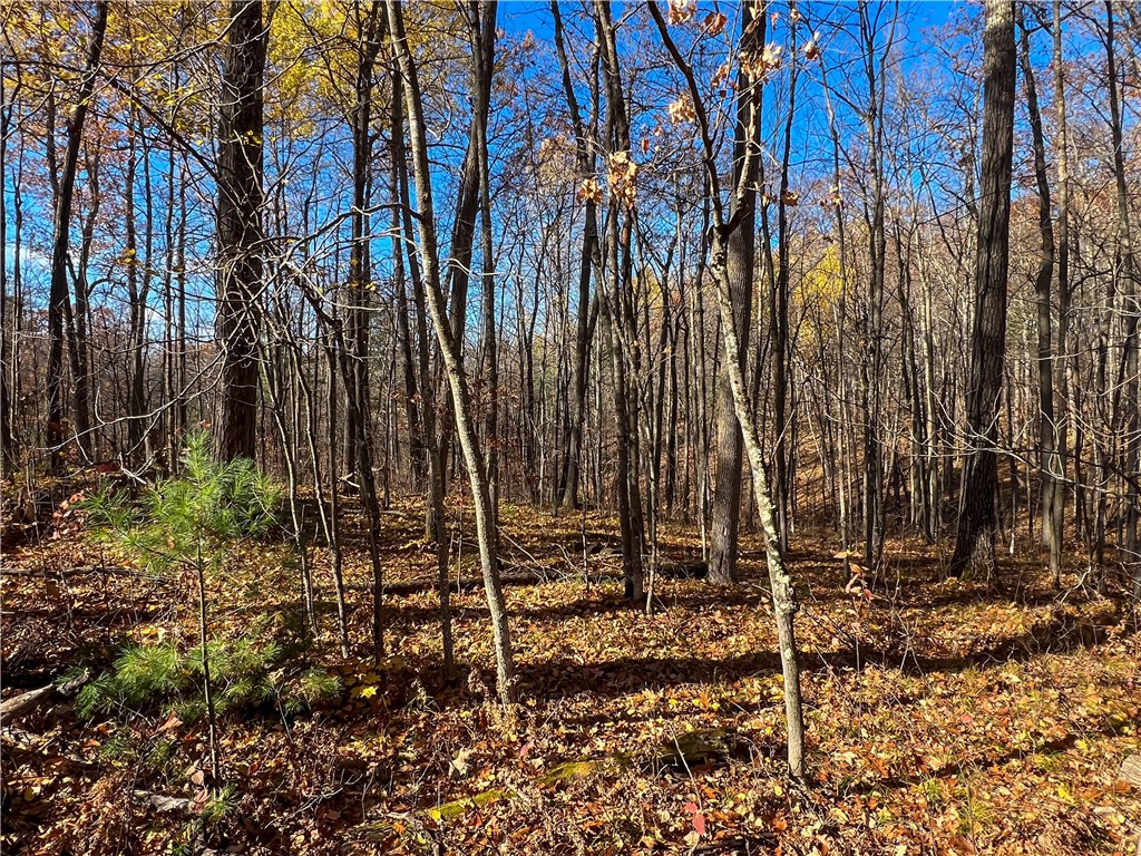 8264 N Ochu Road Hayward WI 54843 - Windigo 1596582 image55