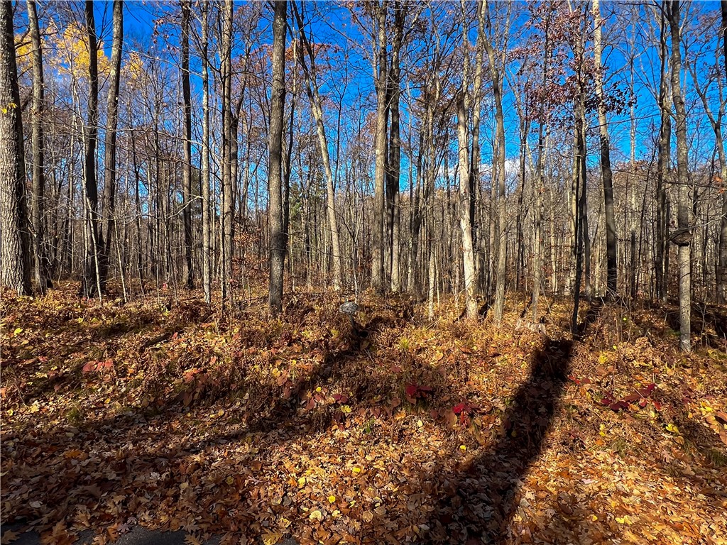 8264 N Ochu Road Hayward WI 54843 - Windigo 1596582 image56