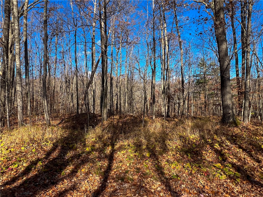 8264 N Ochu Road Hayward WI 54843 - Windigo 1596582 image57