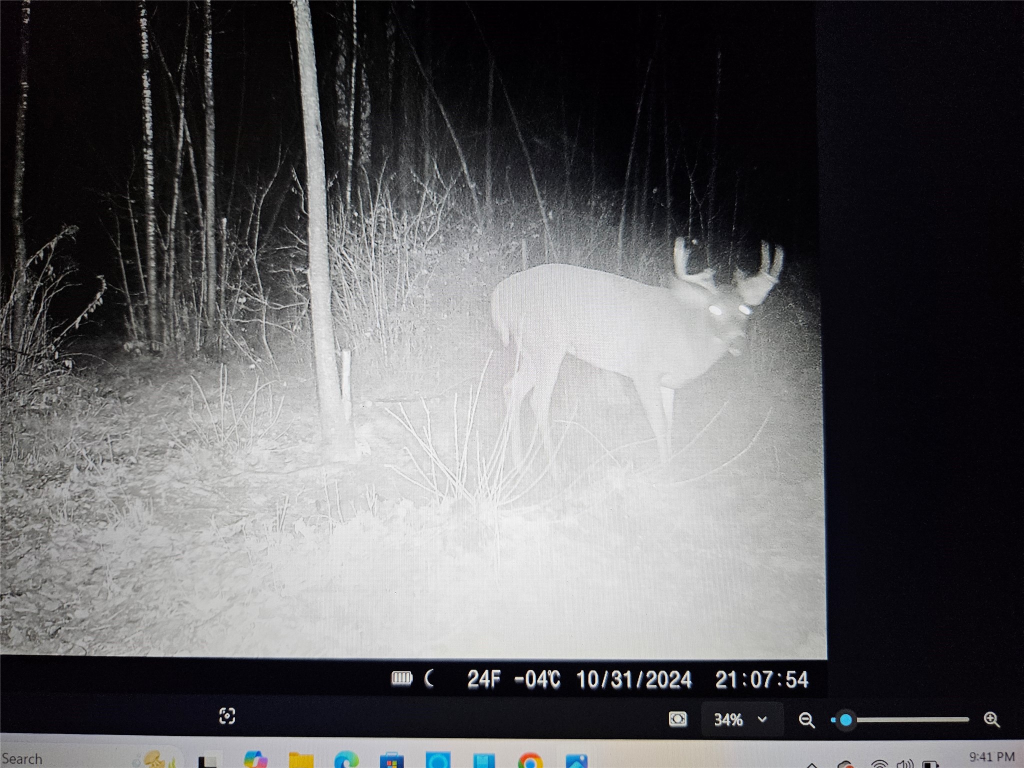 8431 W Hogsback Road Exeland WI 54835 1599529 image17