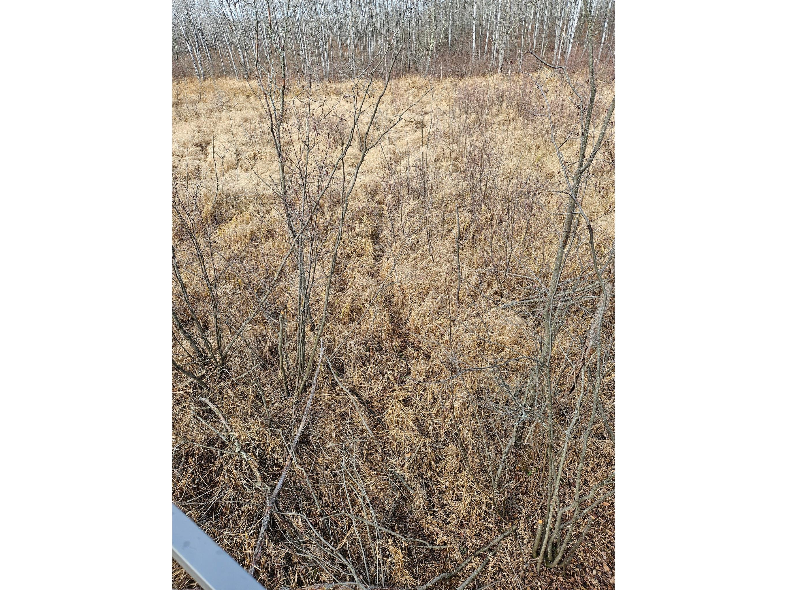 8431 W Hogsback Road Exeland WI 54835 1599529 image18