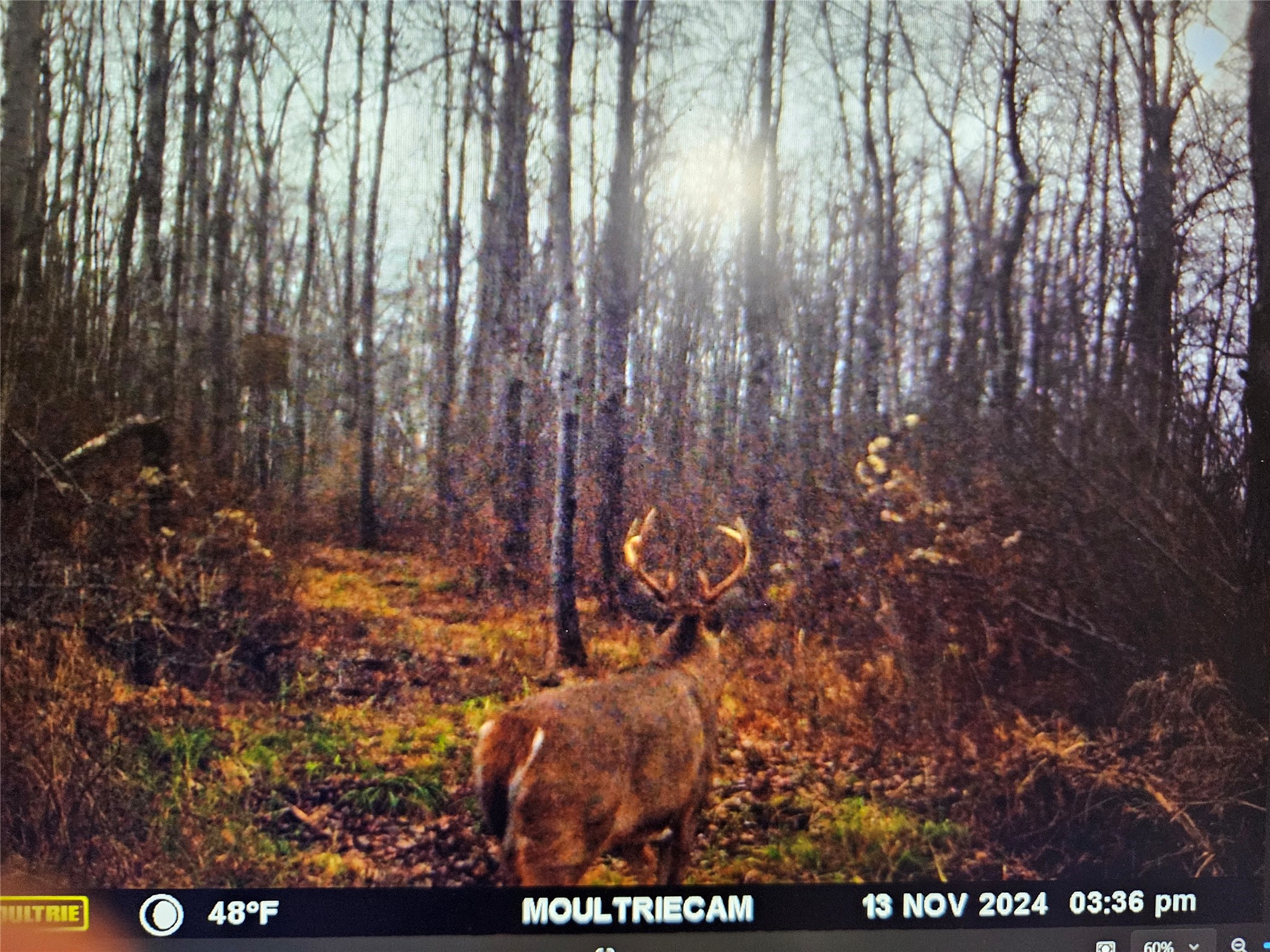 8431 W Hogsback Road Exeland WI 54835 1599529 image19