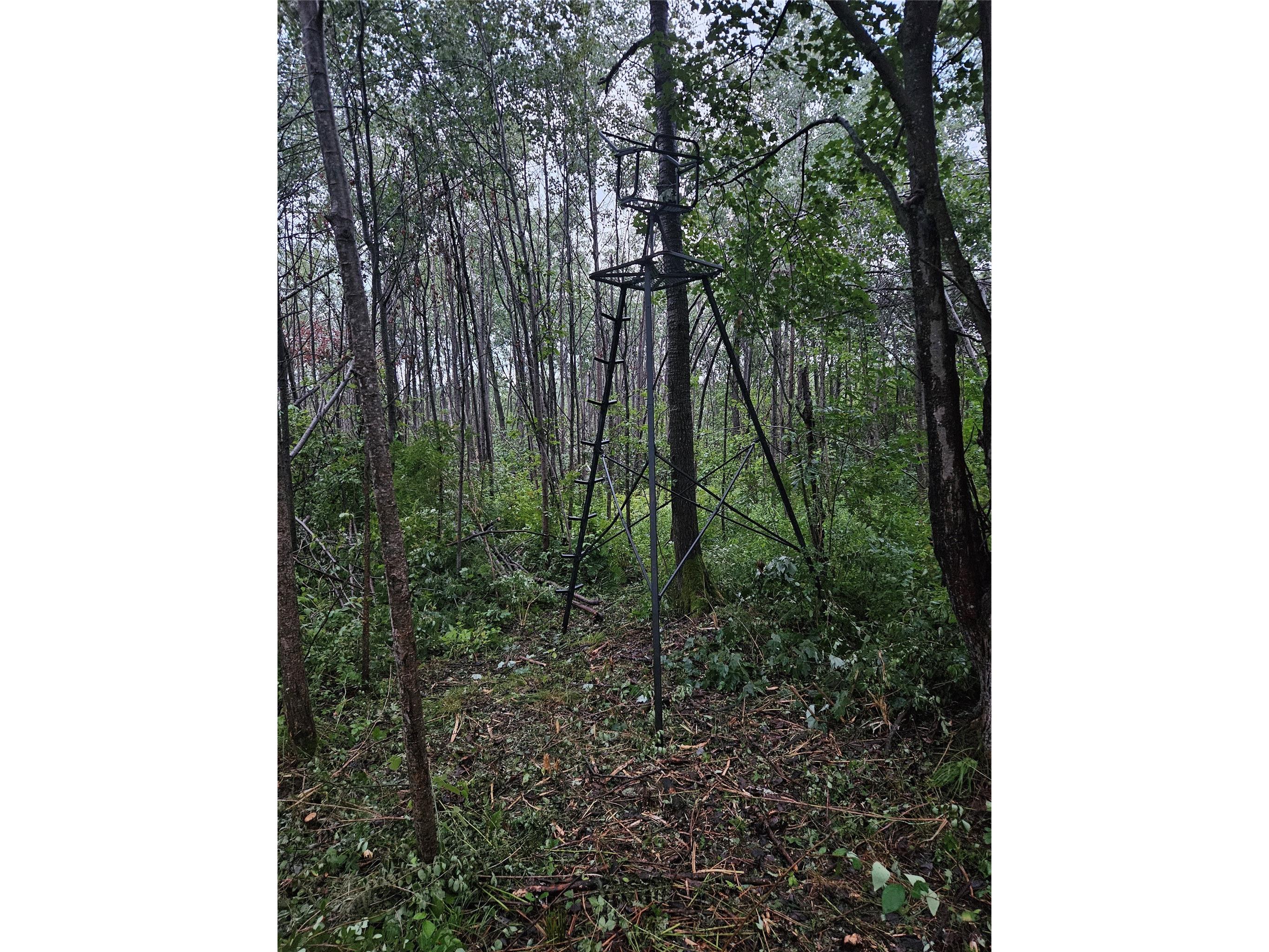 8431 W Hogsback Road Exeland WI 54835 1599529 image21