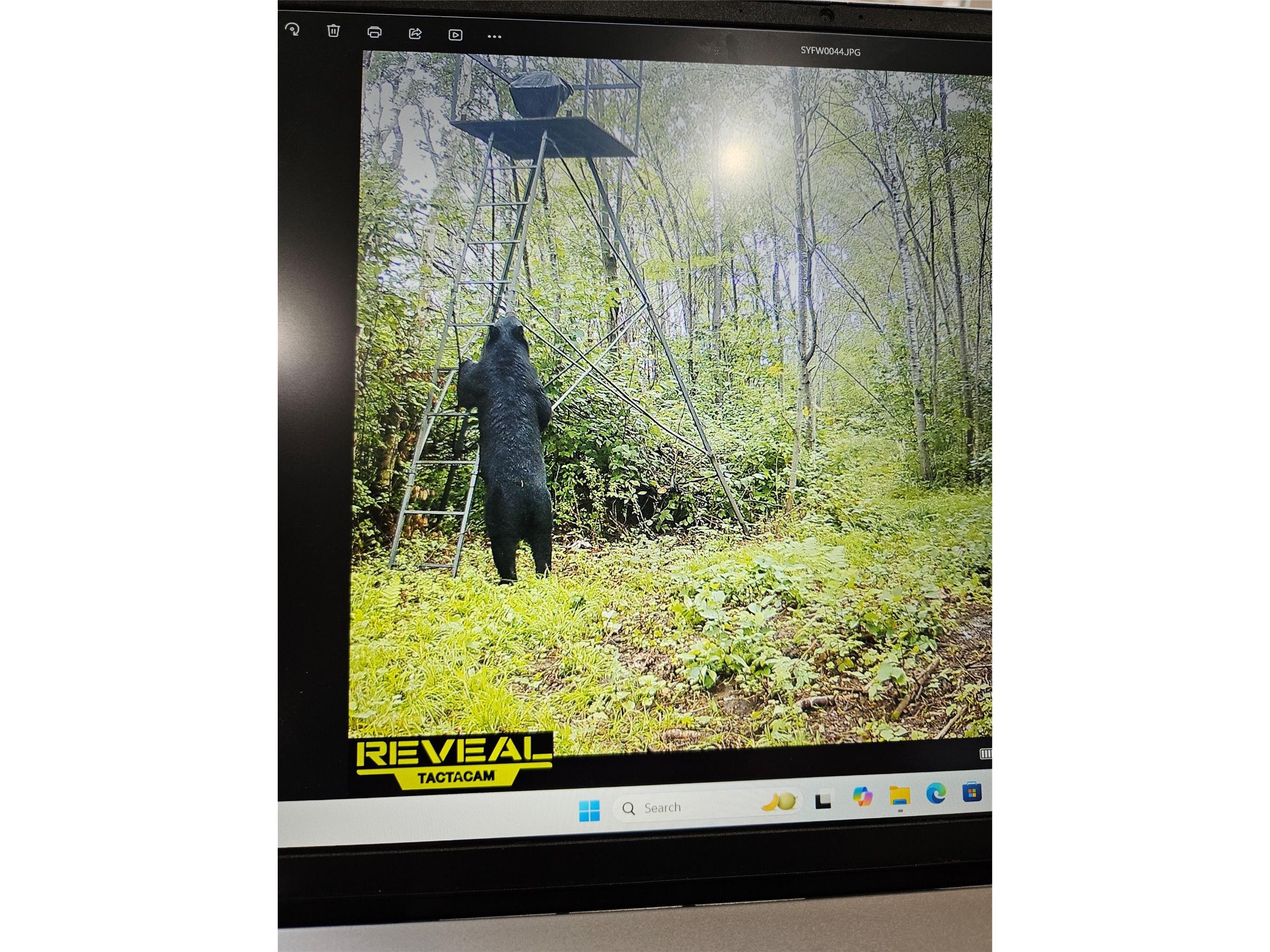 8431 W Hogsback Road Exeland WI 54835 1599529 image8