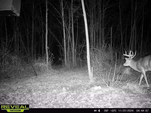 8431 W Hogsback Road Exeland WI 54835 1599529 image9