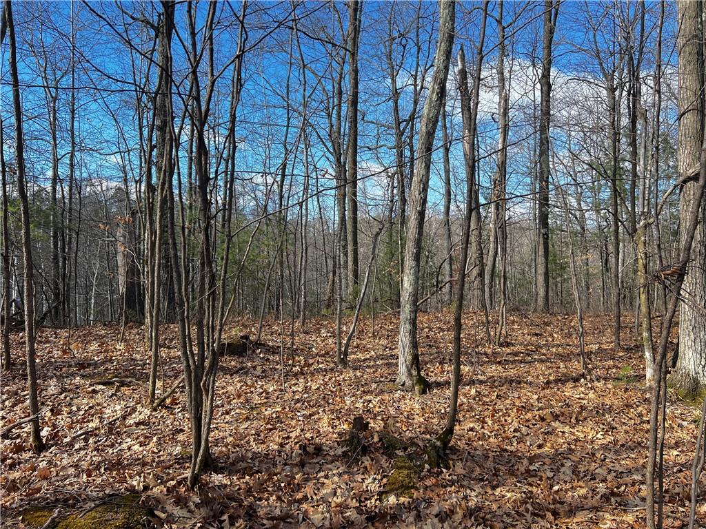 8513N Woodland Road Hayward WI 54843 1580472 image1