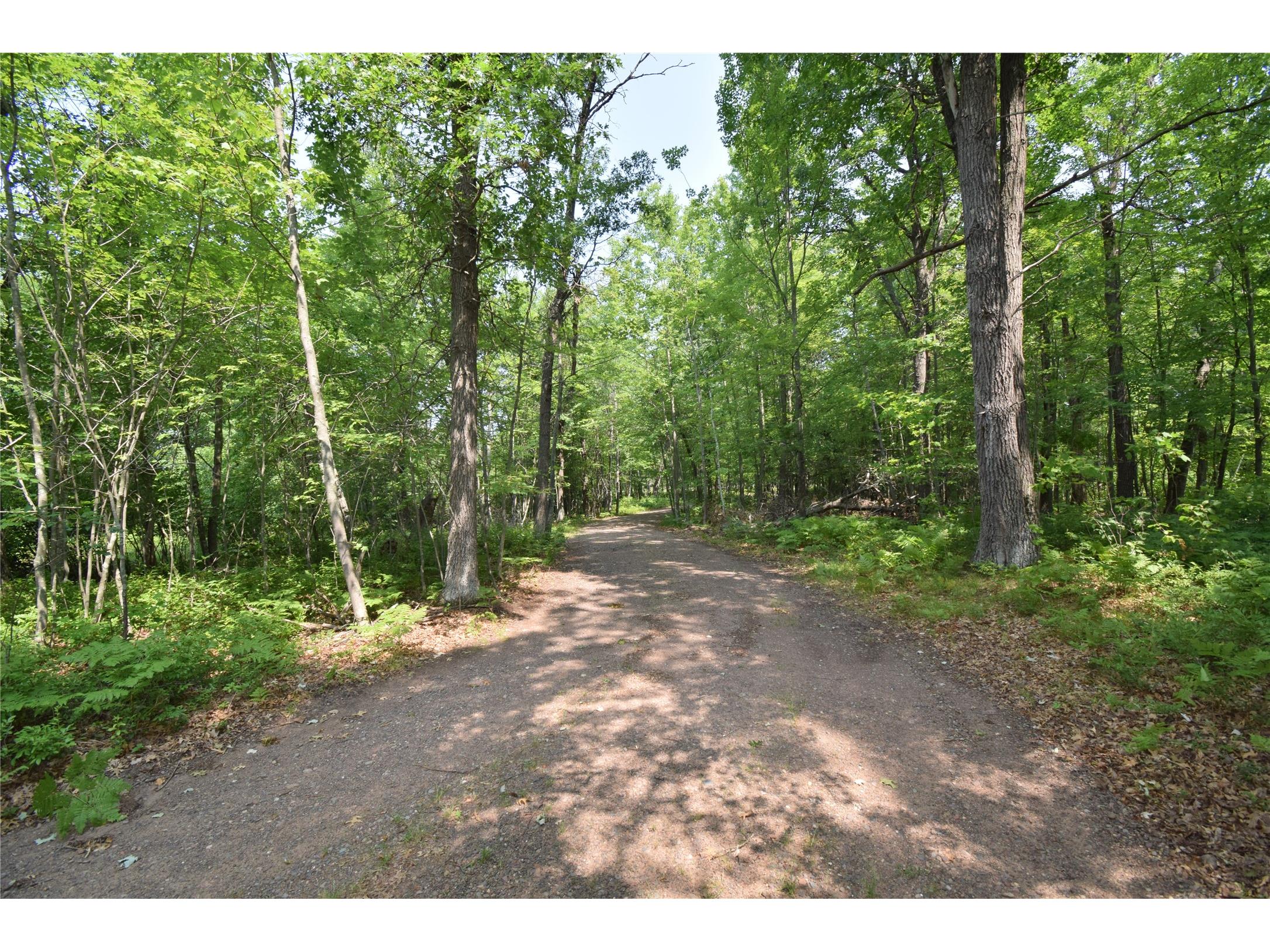 8533 N Bass Lake Road Danbury WI 54830 - Bass Lake 1603526 image11