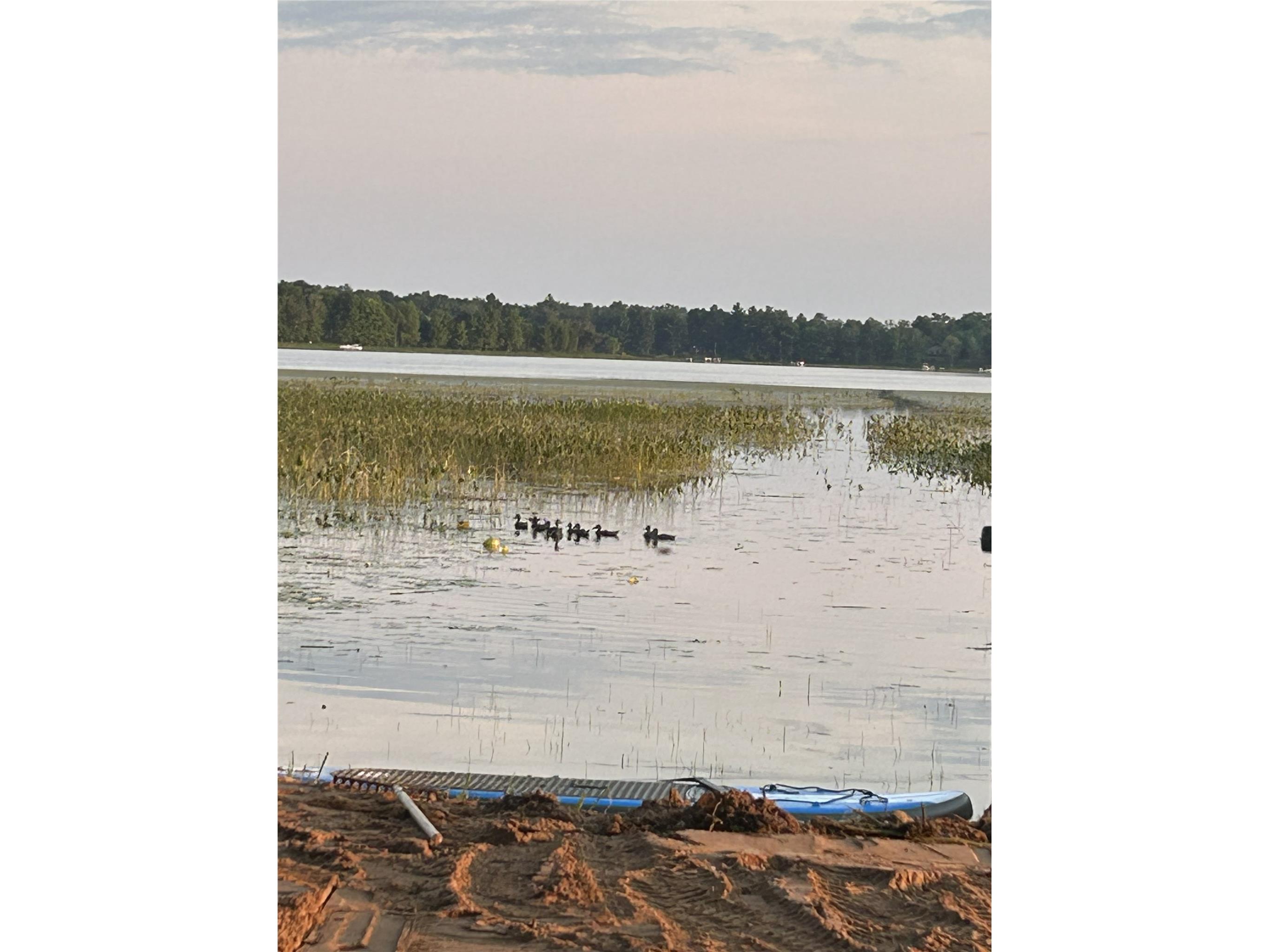 8533 N Bass Lake Road Danbury WI 54830 - Bass Lake 1603526 image13