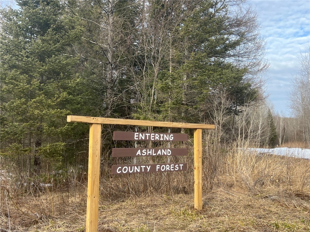 86469 Nature Road Butternut WI 96746 1588931 image18