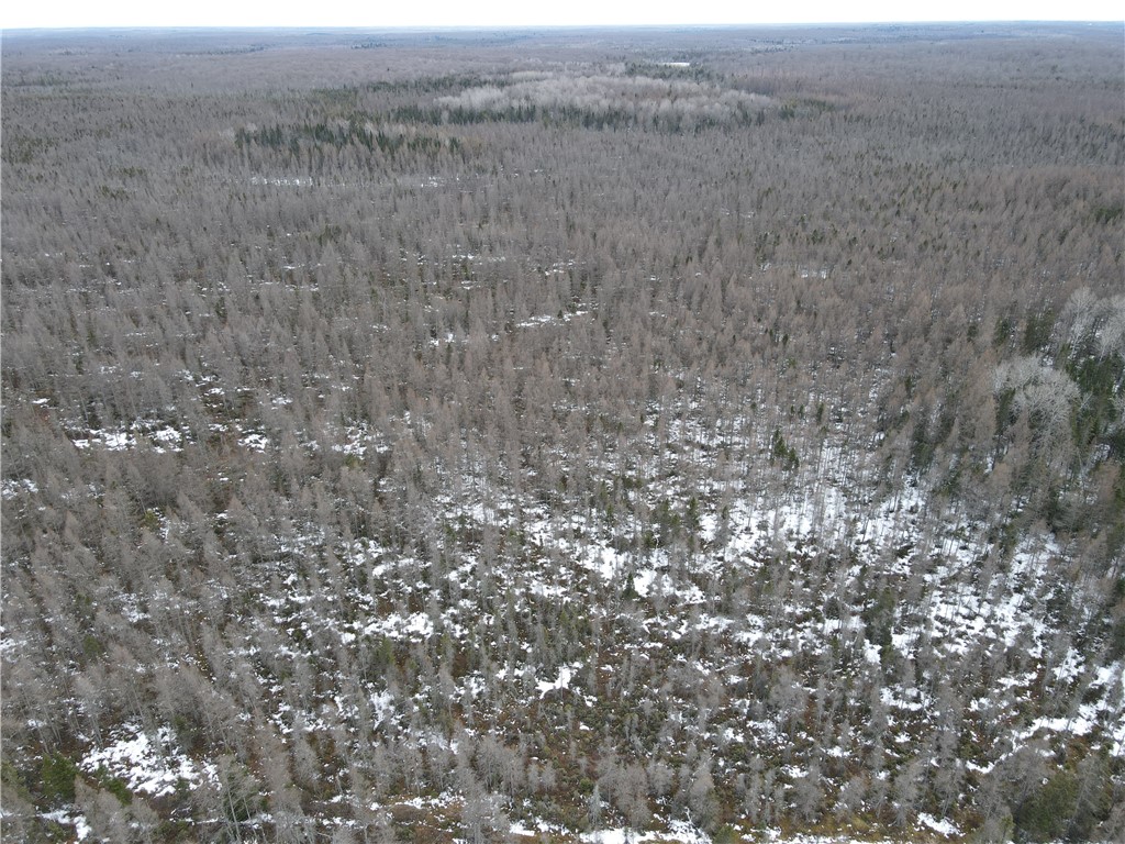 86469 Nature Road Butternut WI 96746 1588931 image27