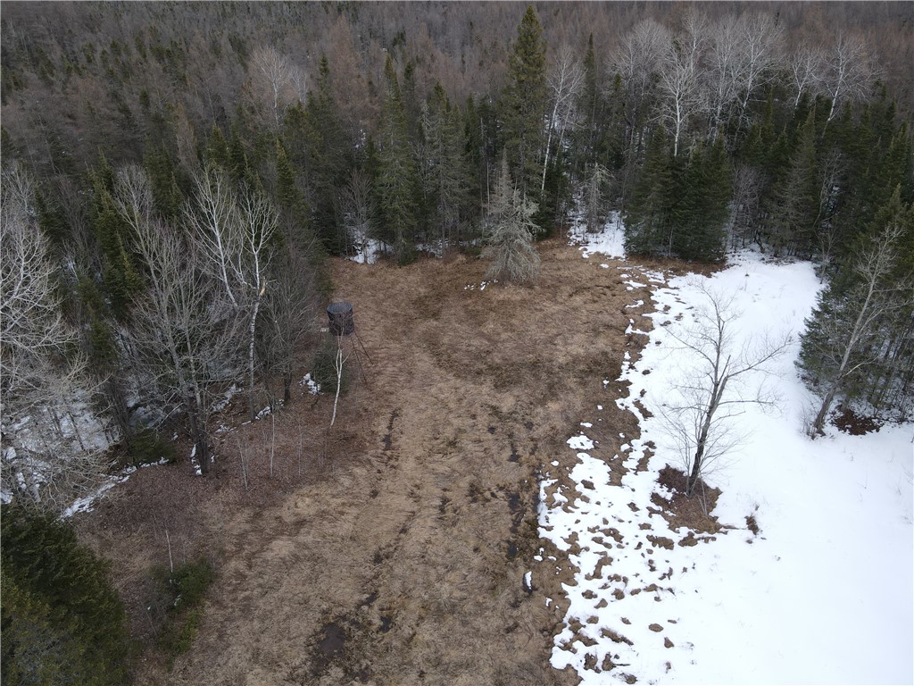 86469 Nature Road Butternut WI 96746 1588931 image4