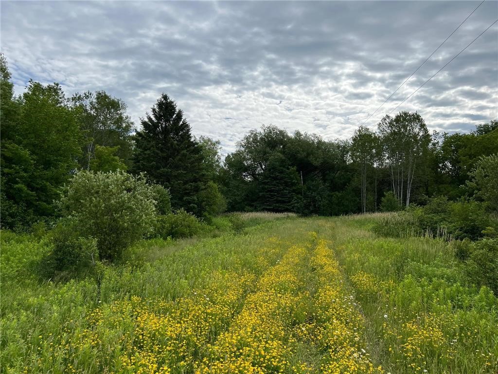 86640 N South Pratt Road N Bayfield WI 54814 - Sand River 1567028 image11