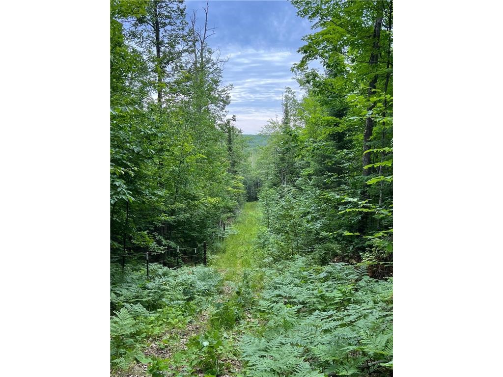 86640 N South Pratt Road N Bayfield WI 54814 - Sand River 1567028 image18