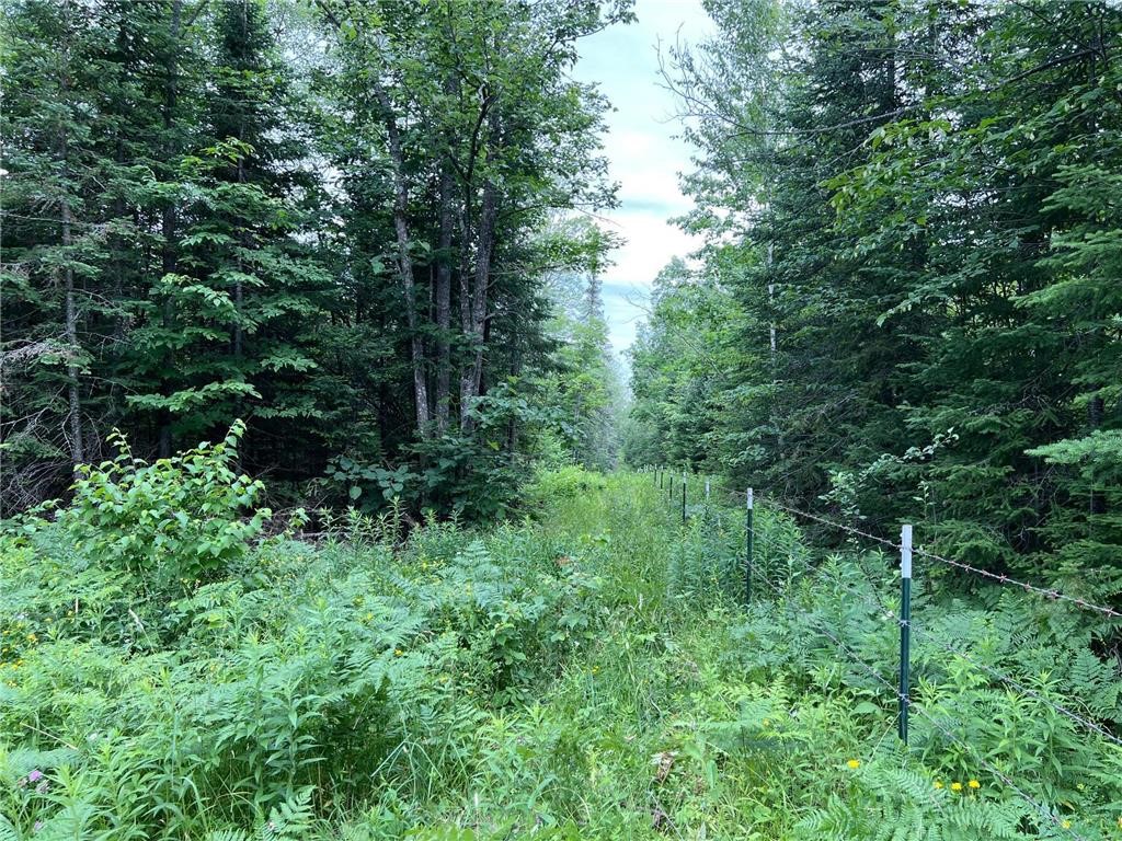 86640 N South Pratt Road N Bayfield WI 54814 - Sand River 1567028 image40