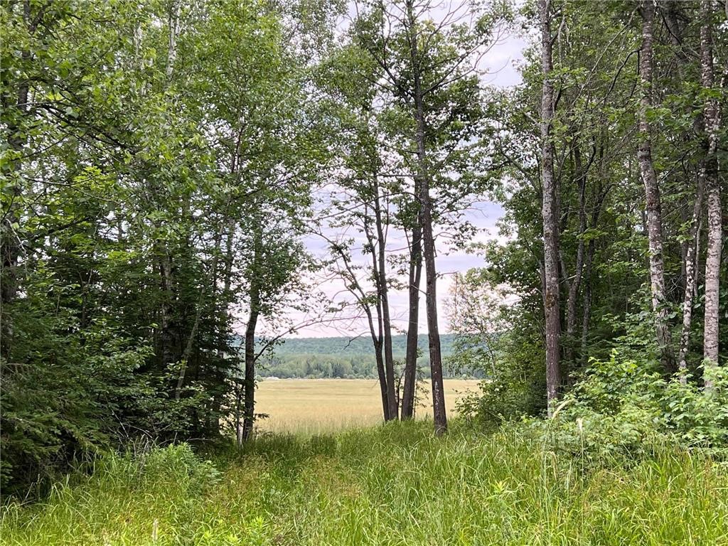 86640 N South Pratt Road N Bayfield WI 54814 - Sand River 1567028 image5