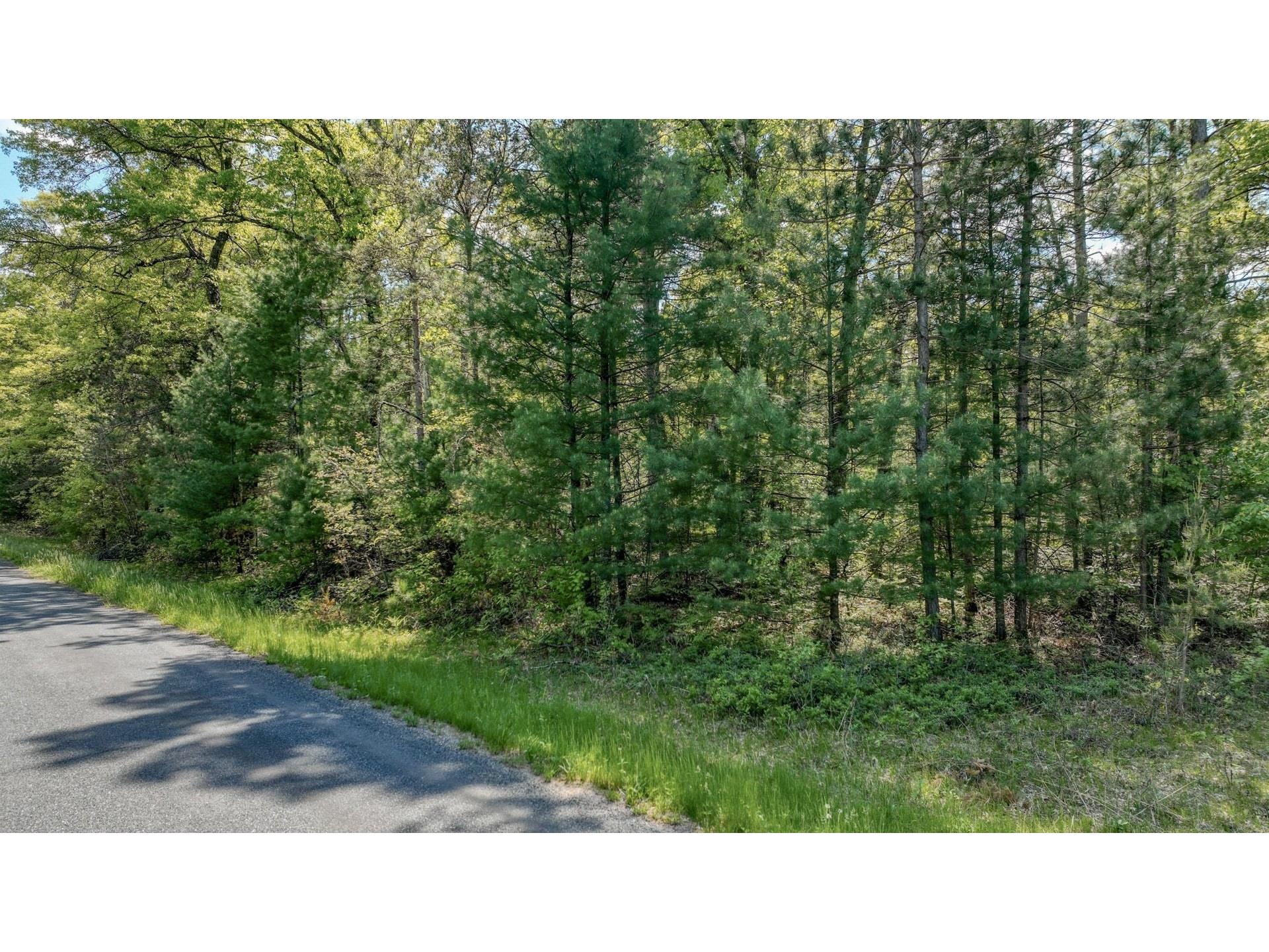 8667 Lakeside Road Willard WI 54493 1601051 image1