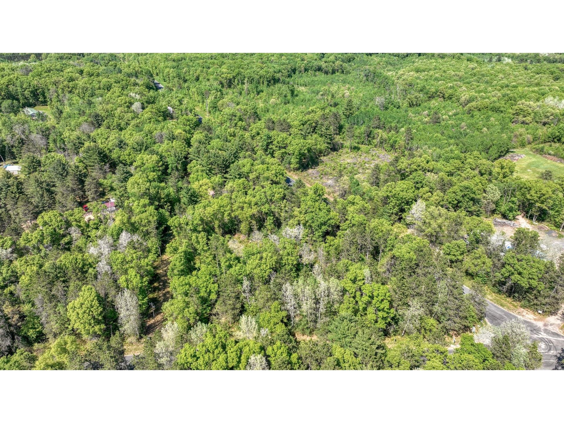 8667 Lakeside Road Willard WI 54493 1601051 image11