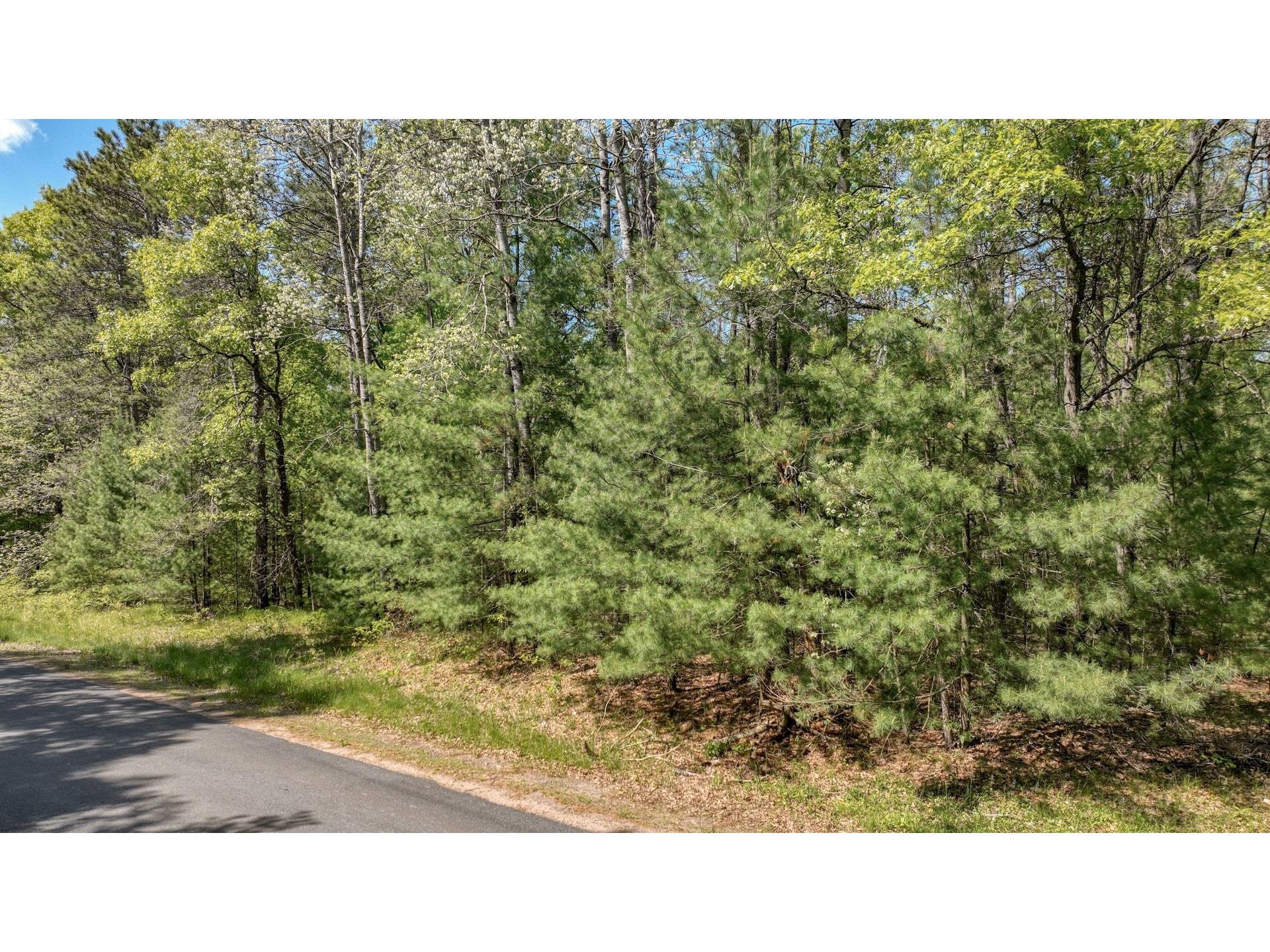 8667 Lakeside Road Willard WI 54493 1601051 image8