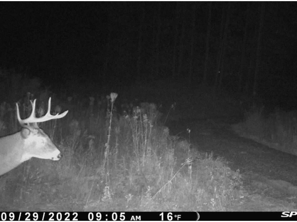 8725W River Road Ojibwa WI 54862 - Chippewa River 1599647 image15