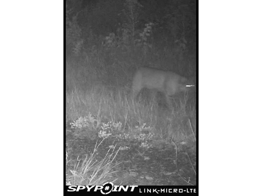 8725W River Road Ojibwa WI 54862 - Chippewa River 1599647 image16