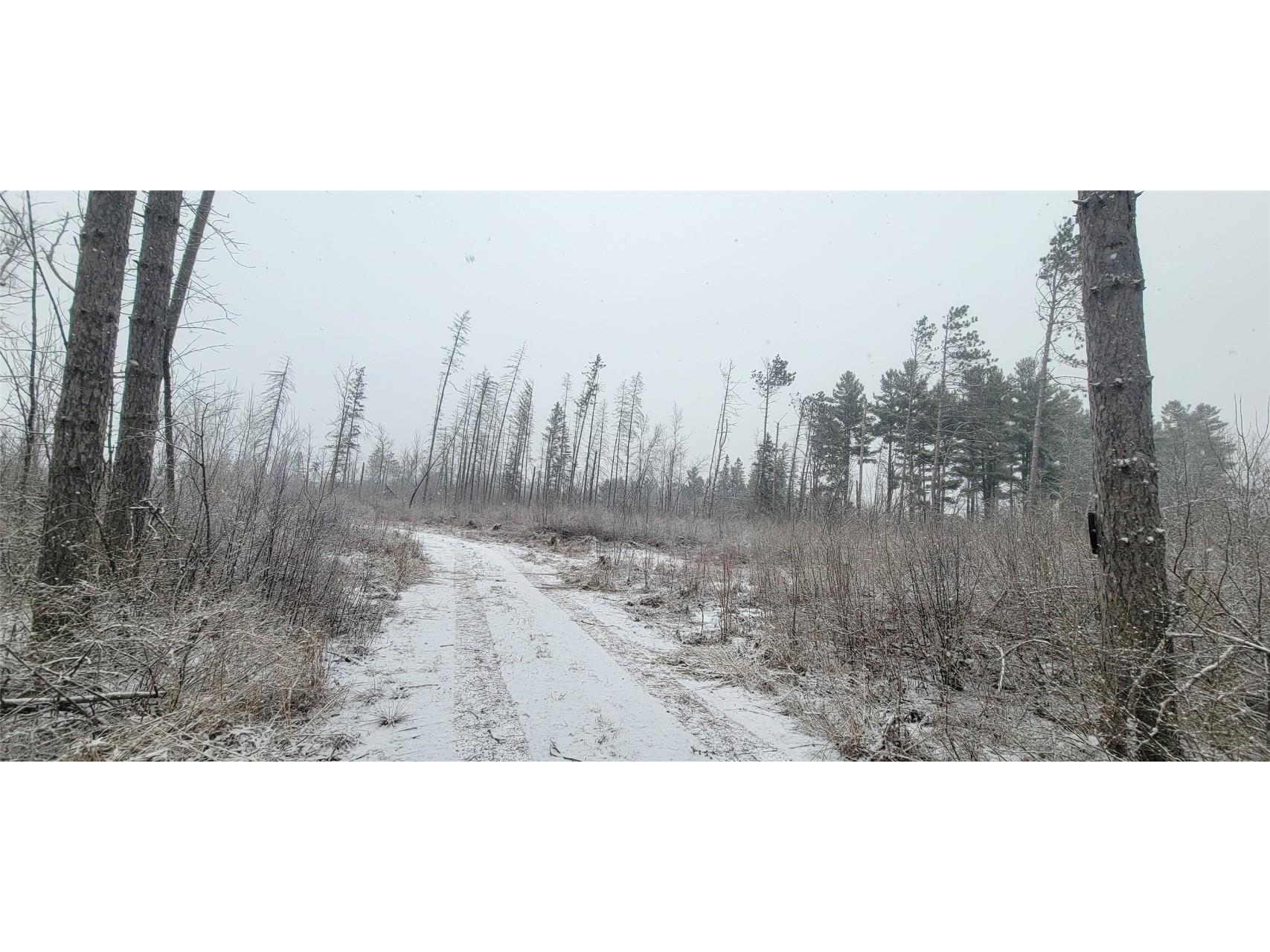 8725W River Road Ojibwa WI 54862 - Chippewa River 1599647 image21