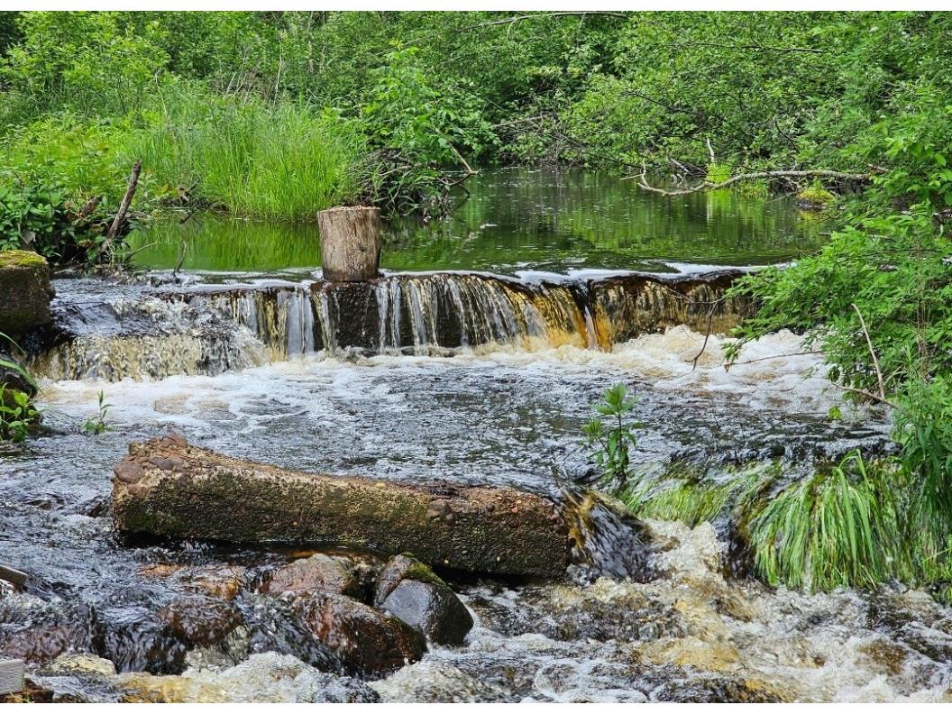 8725W River Road Ojibwa WI 54862 - Chippewa River 1599647 image6